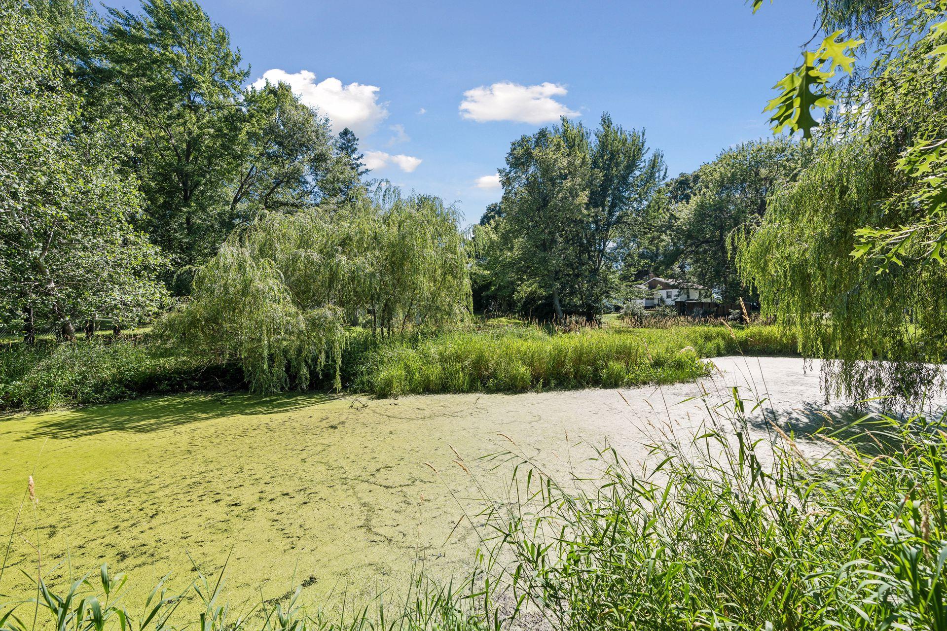 View of Residential at 17320 Staples Street, Andover MN 55304, Andover (47 of 47) - Mike Wilen | Minnesota Team Real Estate