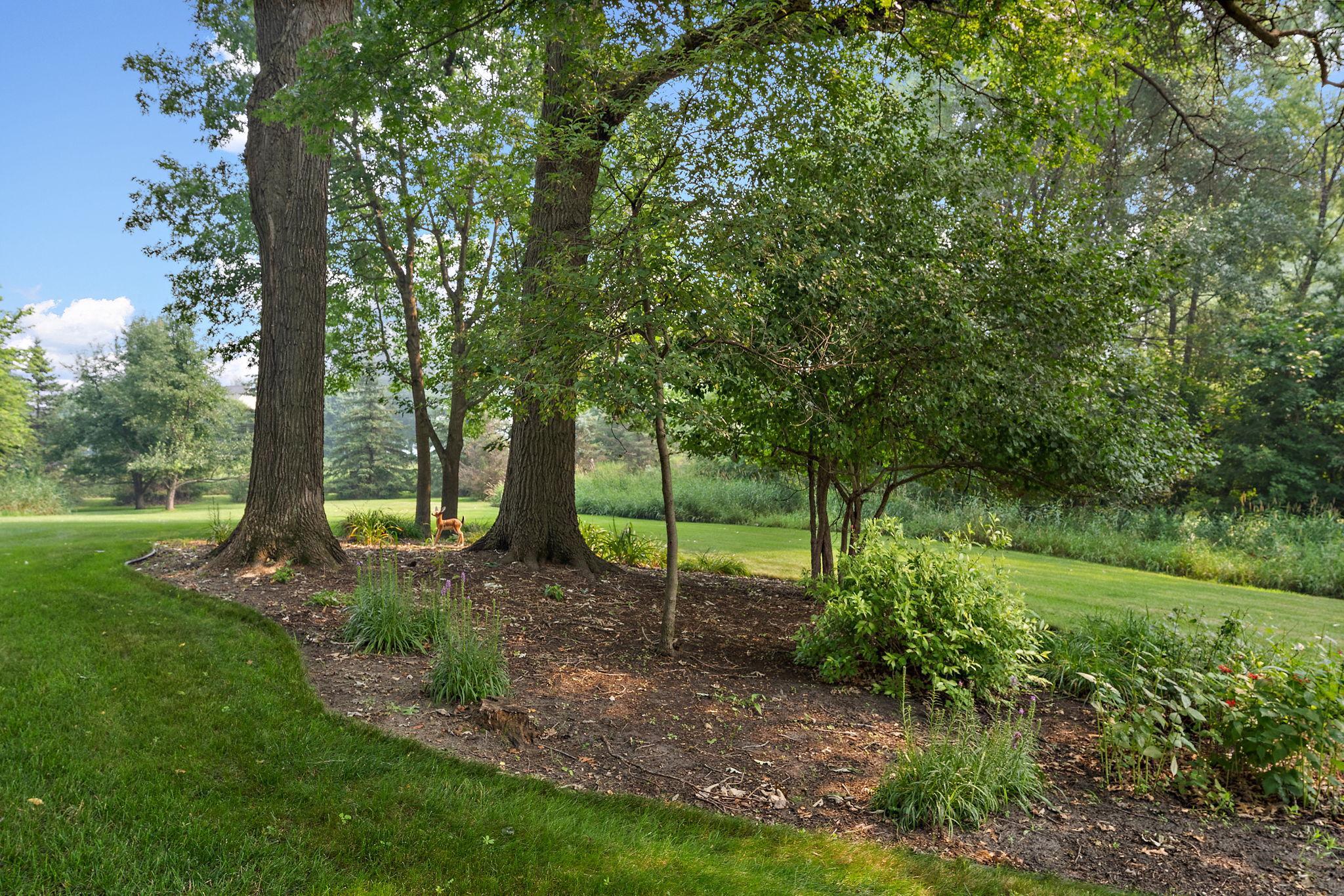 View of Residential at 2657 146th Avenue, Ham Lake MN 55304, Ham Lake (49 of 59) - Mike Wilen | Minnesota Team Real Estate