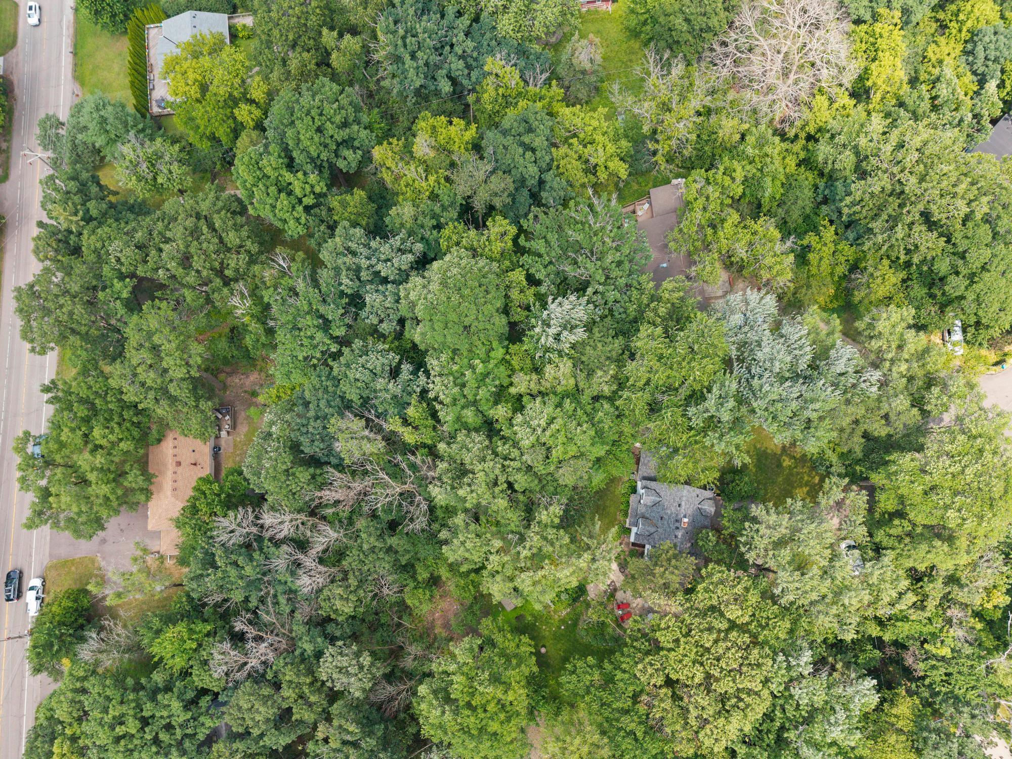 View of Residential at 4115 Williston Road, Minnetonka MN 55345, Minnetonka (44 of 51) - Mike Wilen | Minnesota Team Real Estate