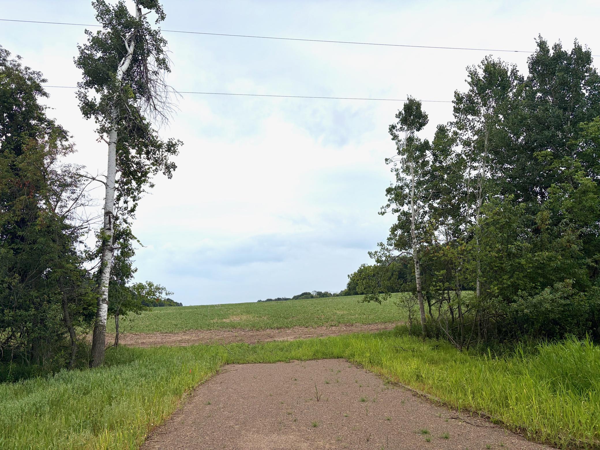View of Land at TBD (L2B1) Flamingo Street, Isanti MN 55040, Isanti - Mike Wilen | Minnesota Team Real Estate