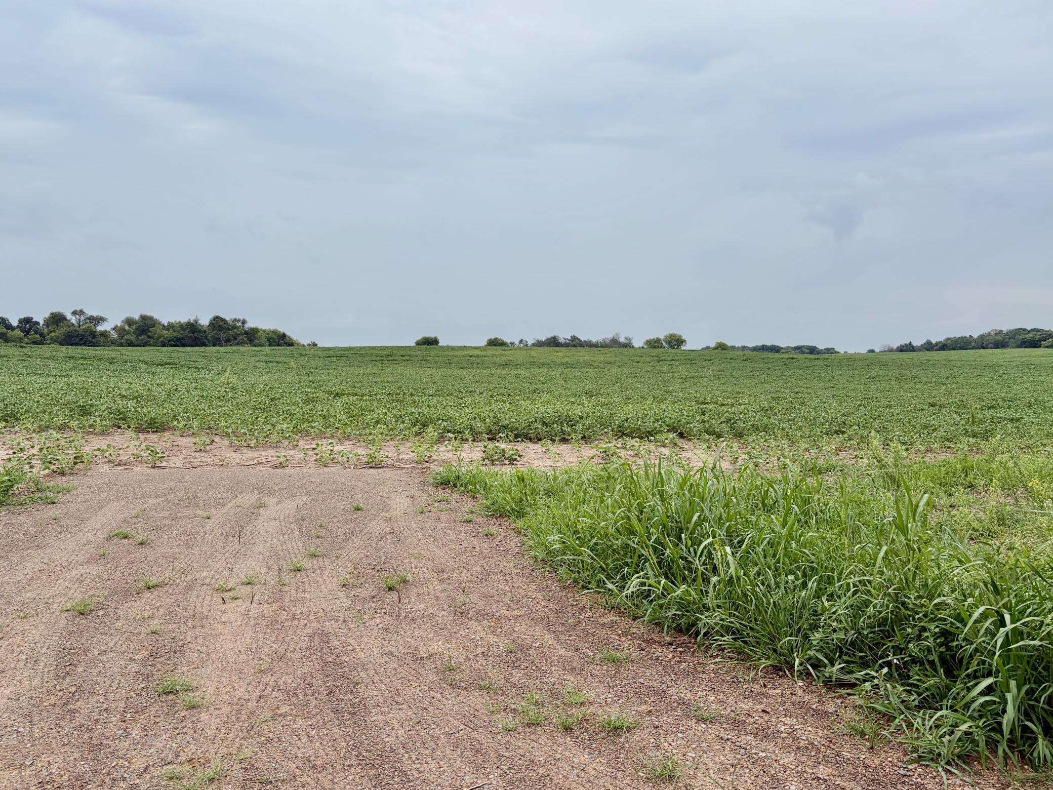 View of Land at TBD (L2B2) Flamingo Street, Isanti MN 55040, Isanti - Mike Wilen | Minnesota Team Real Estate