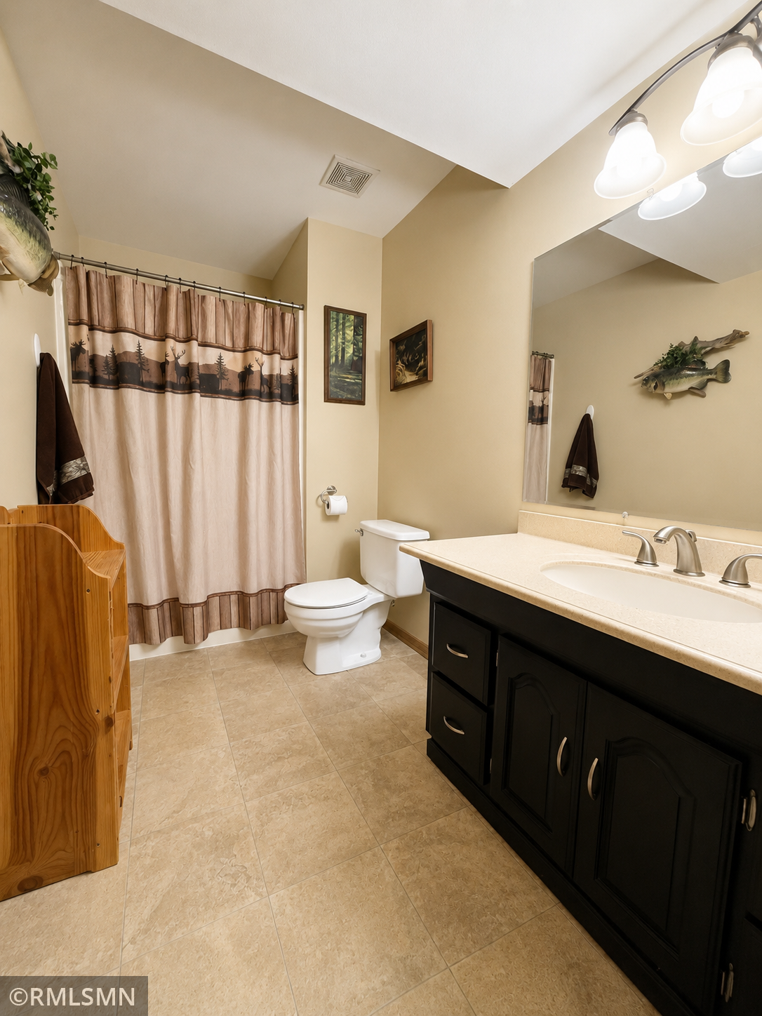 View of Residential at 815 10th Street, Hastings MN 55033, Hastings (20 of 26) - Mike Wilen | Minnesota Team Real Estate