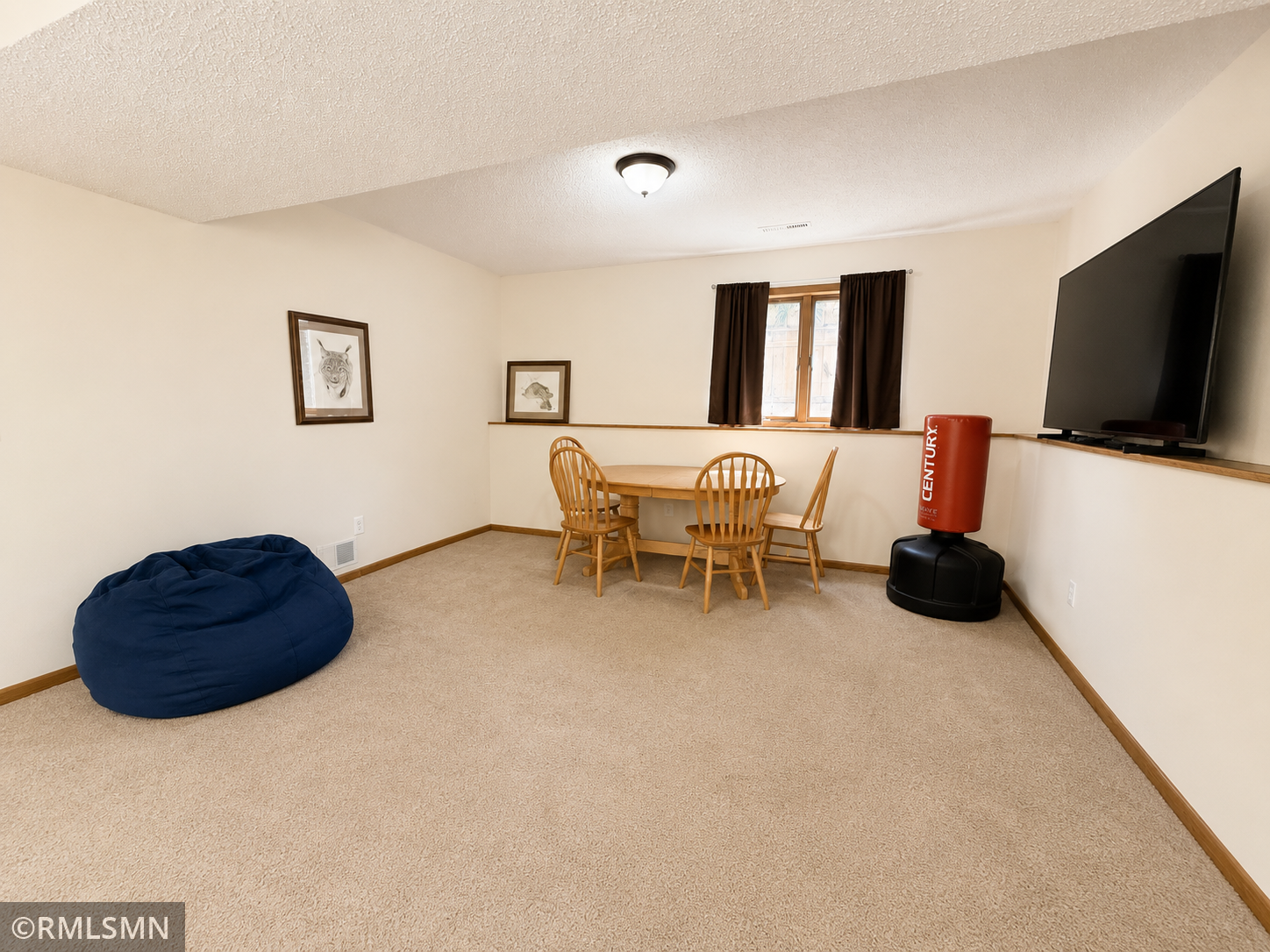 View of Residential at 815 10th Street, Hastings MN 55033, Hastings (18 of 26) - Mike Wilen | Minnesota Team Real Estate