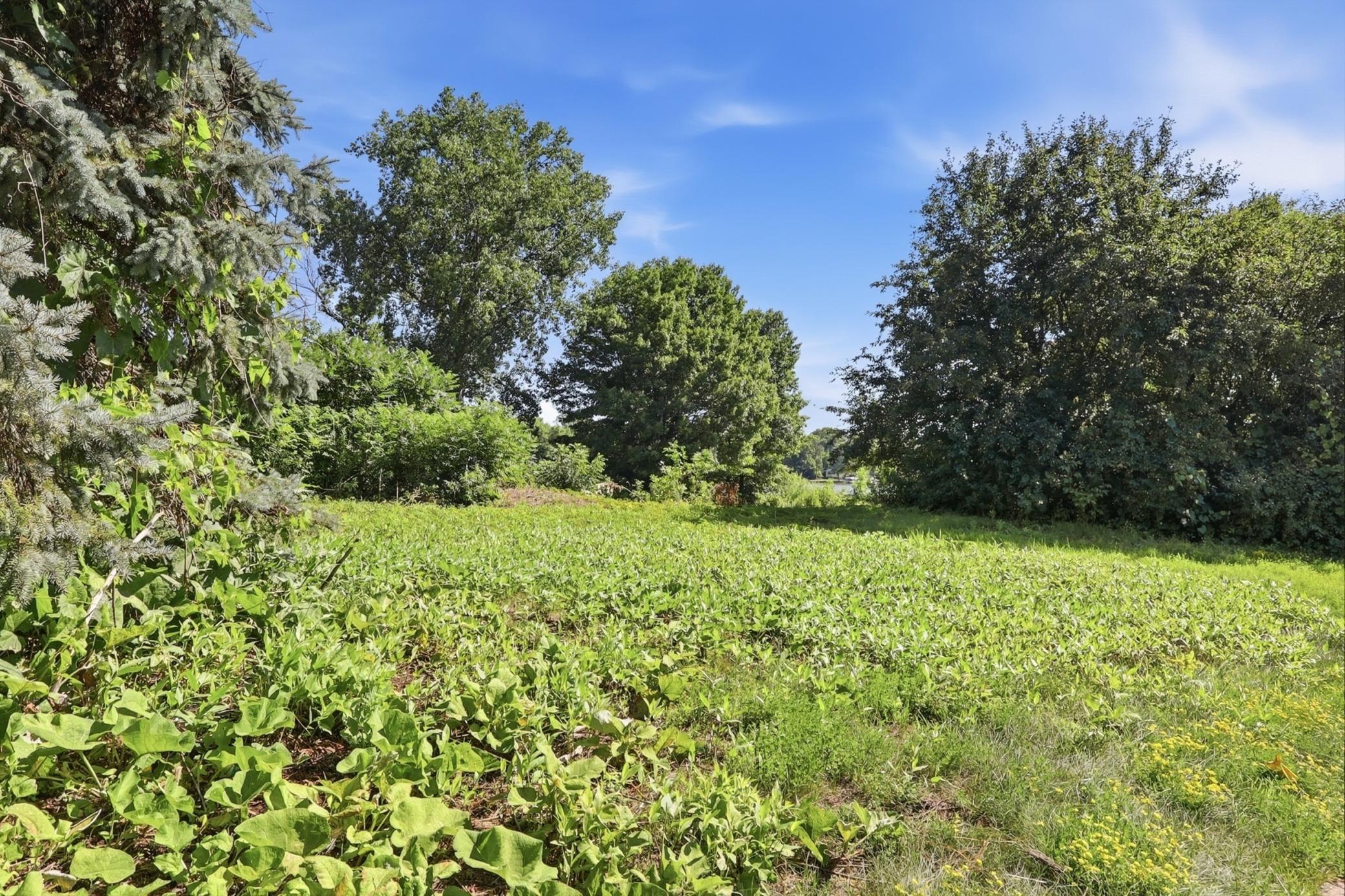 View of Land at 7190 Teakwood Circle, Maple Grove MN 55369, Maple Grove (14 of 16) - Mike Wilen | Minnesota Team Real Estate