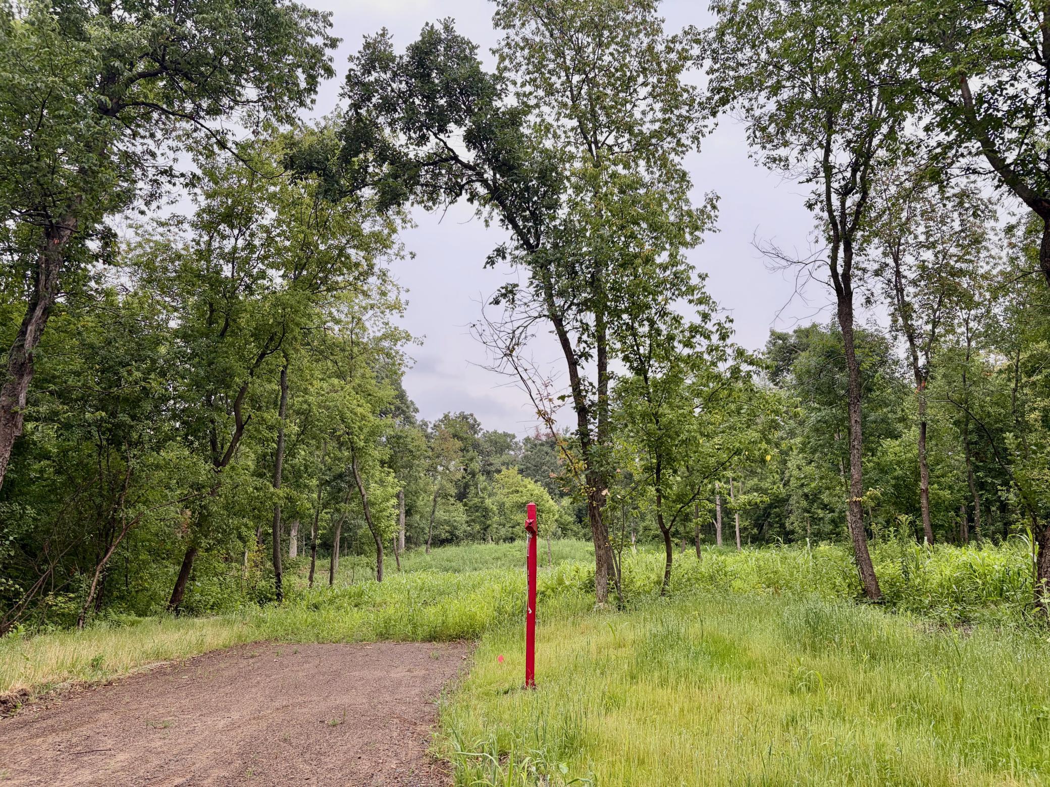 View of Land at TBD (L7B2) Flamingo Street, Isanti MN 55040, Isanti - Mike Wilen | Minnesota Team Real Estate