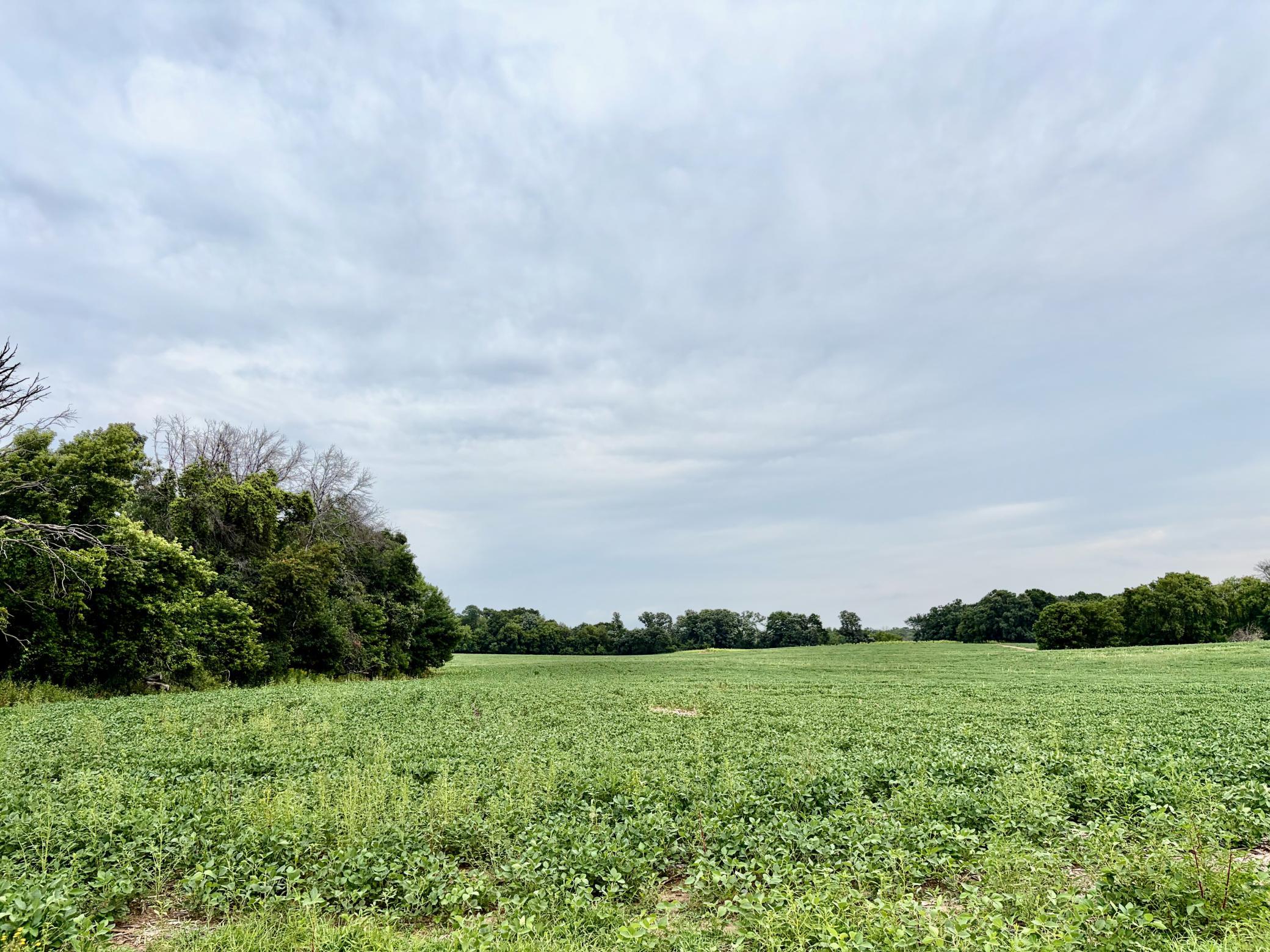 View of Land at TBD (L8B2) County Road 5, Isanti MN 55040, Isanti - Mike Wilen | Minnesota Team Real Estate