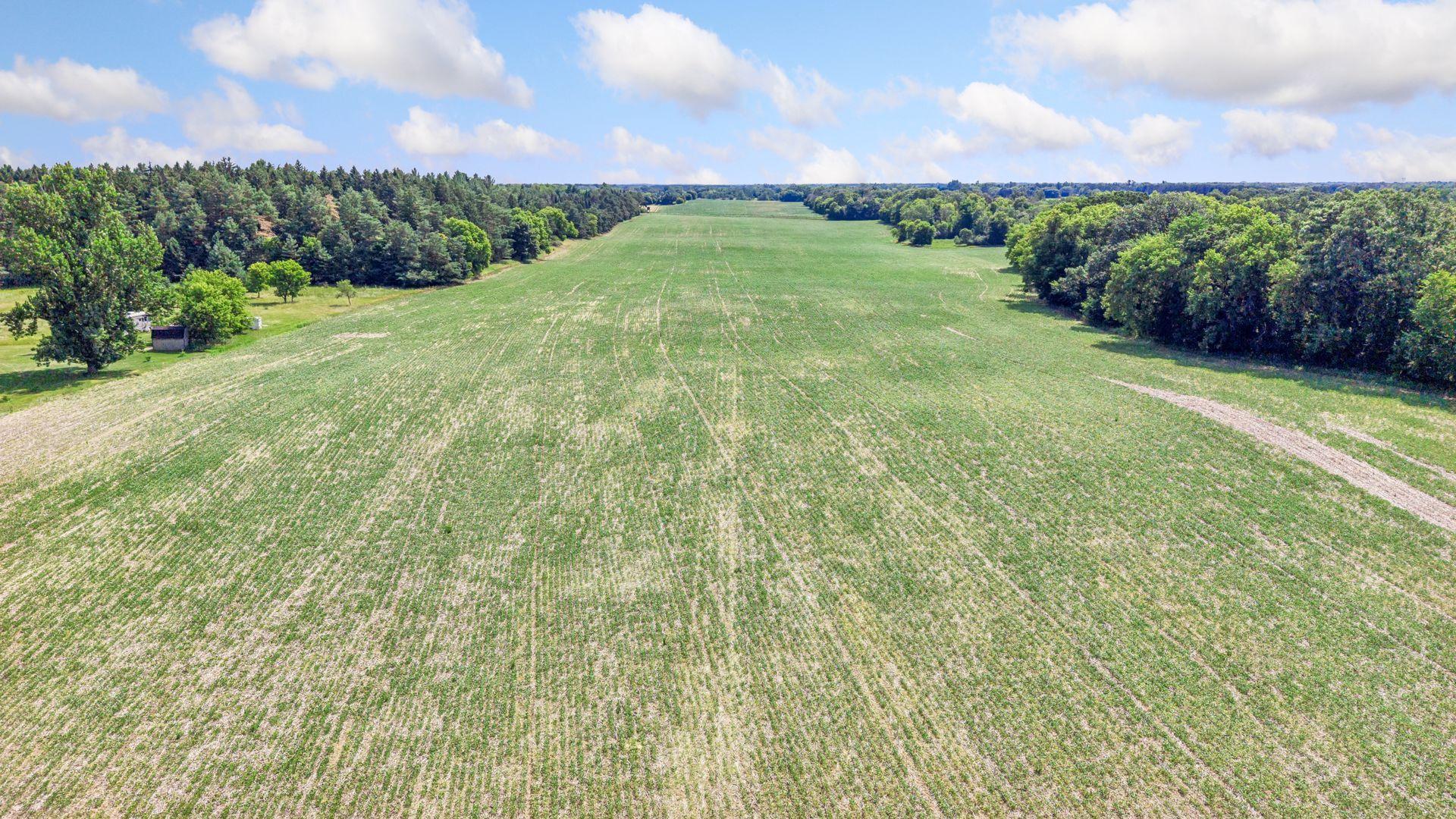 View of Land at TBD (L8B2) County Road 5, Isanti MN 55040, Isanti (13 of 25) - Mike Wilen | Minnesota Team Real Estate