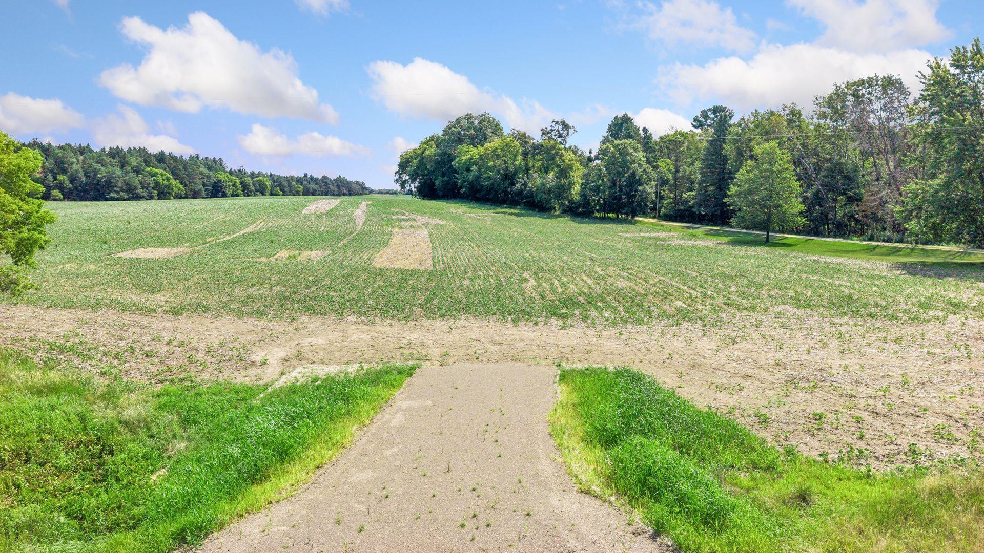 View of Land at TBD (L8B2) County Road 5, Isanti MN 55040, Isanti (12 of 25) - Mike Wilen | Minnesota Team Real Estate