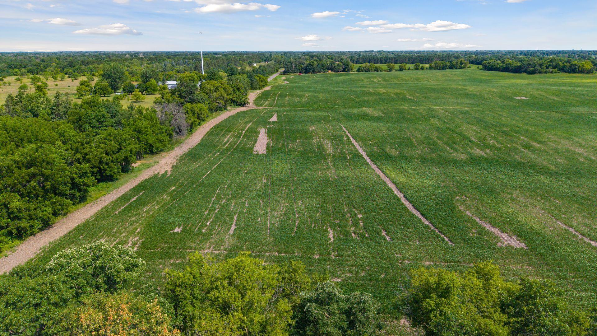 View of Land at TBD (L8B2) County Road 5, Isanti MN 55040, Isanti (24 of 25) - Mike Wilen | Minnesota Team Real Estate