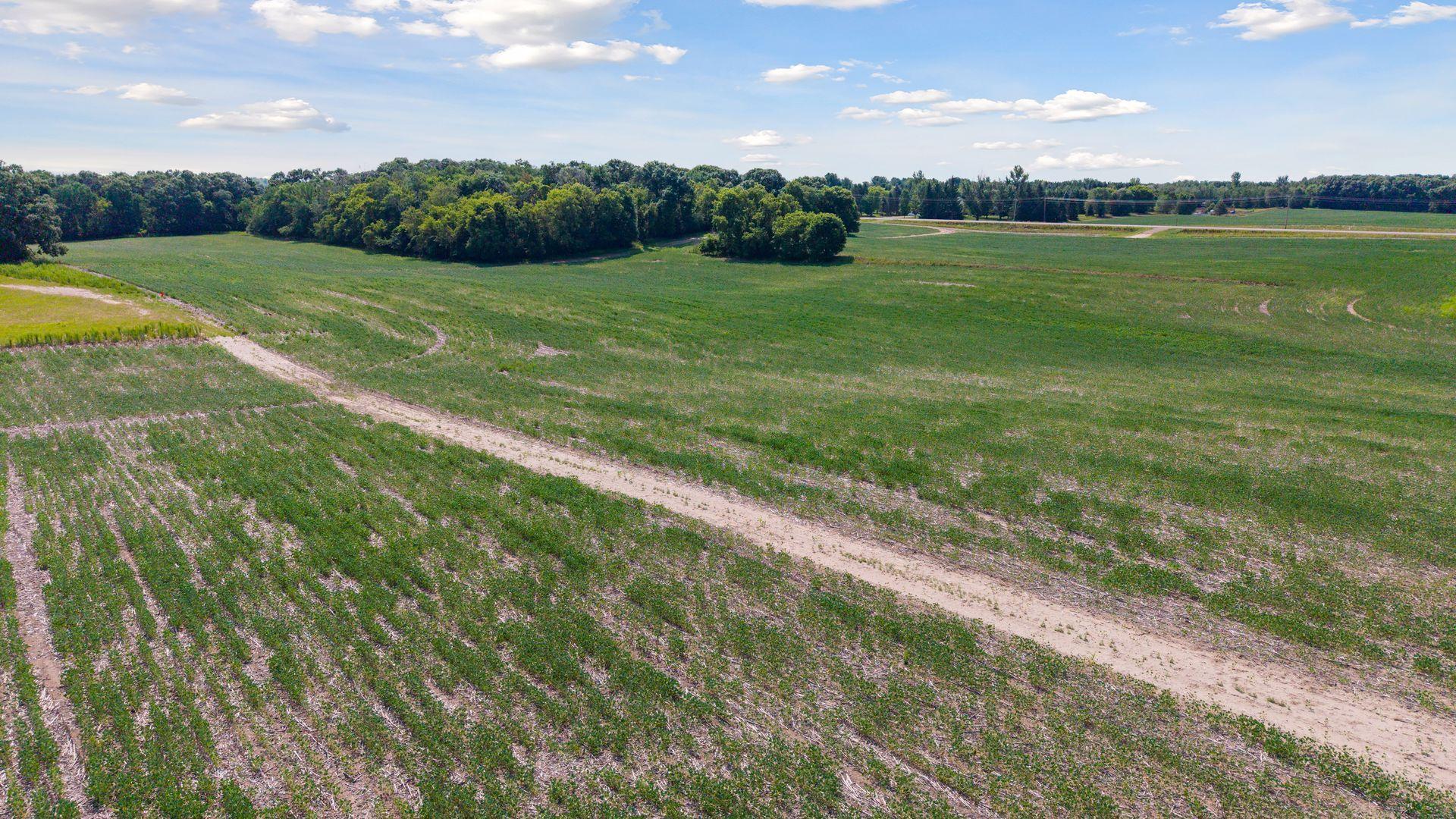 View of Land at TBD (L8B2) County Road 5, Isanti MN 55040, Isanti (23 of 25) - Mike Wilen | Minnesota Team Real Estate