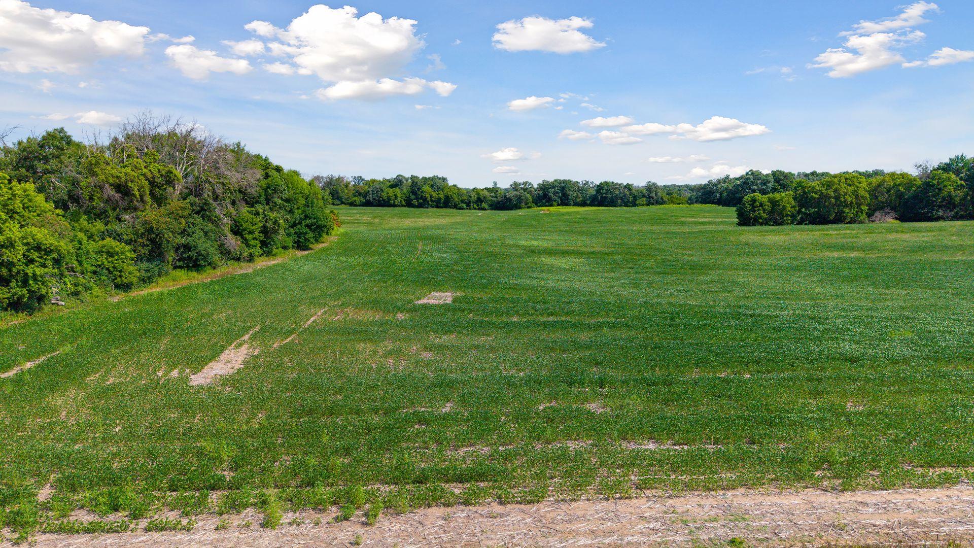 View of Land at TBD (L8B2) County Road 5, Isanti MN 55040, Isanti (17 of 25) - Mike Wilen | Minnesota Team Real Estate