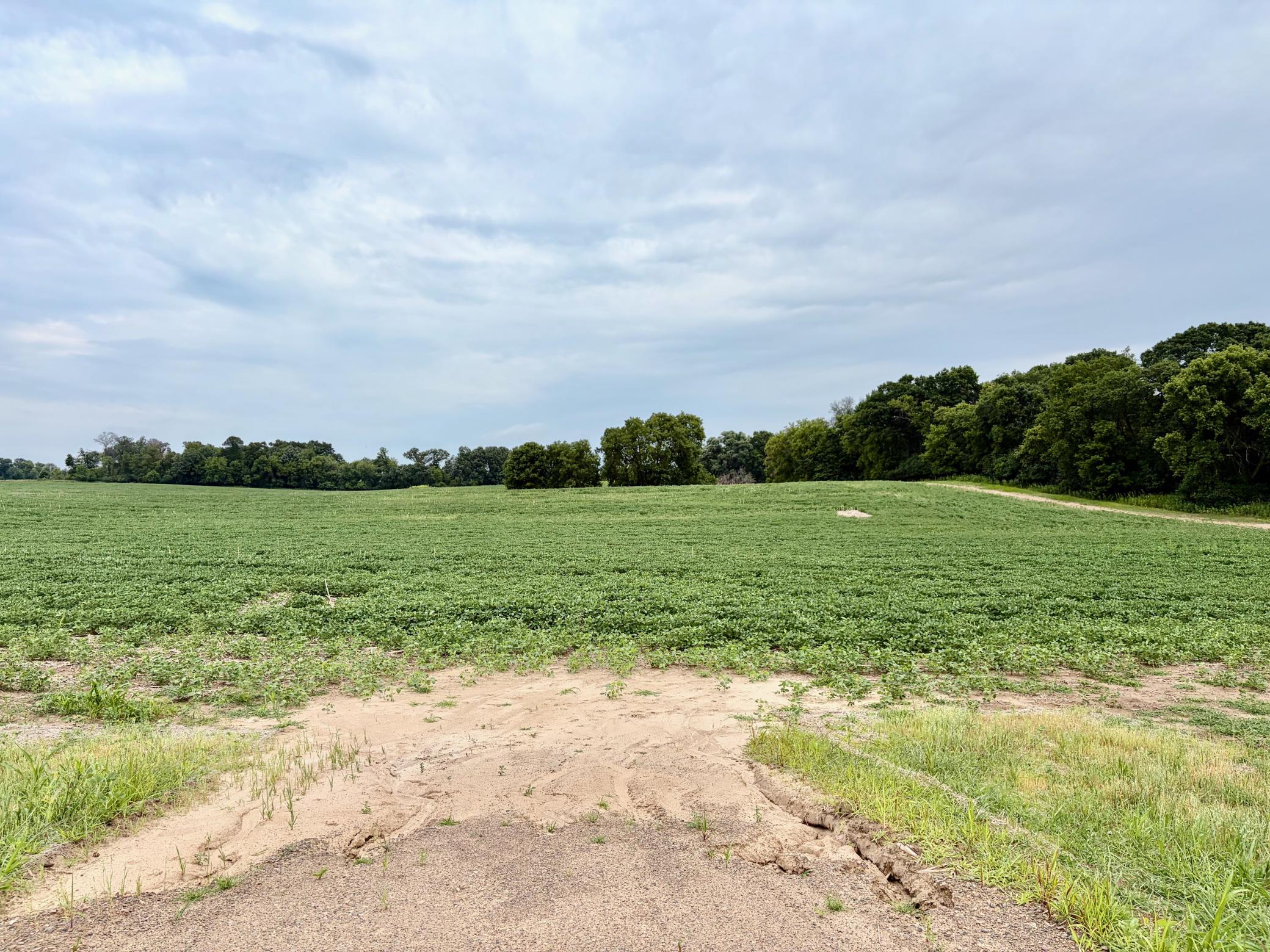 View of Land at TBD (L9B2) County Road 5, Isanti MN 55040, Isanti - Mike Wilen | Minnesota Team Real Estate