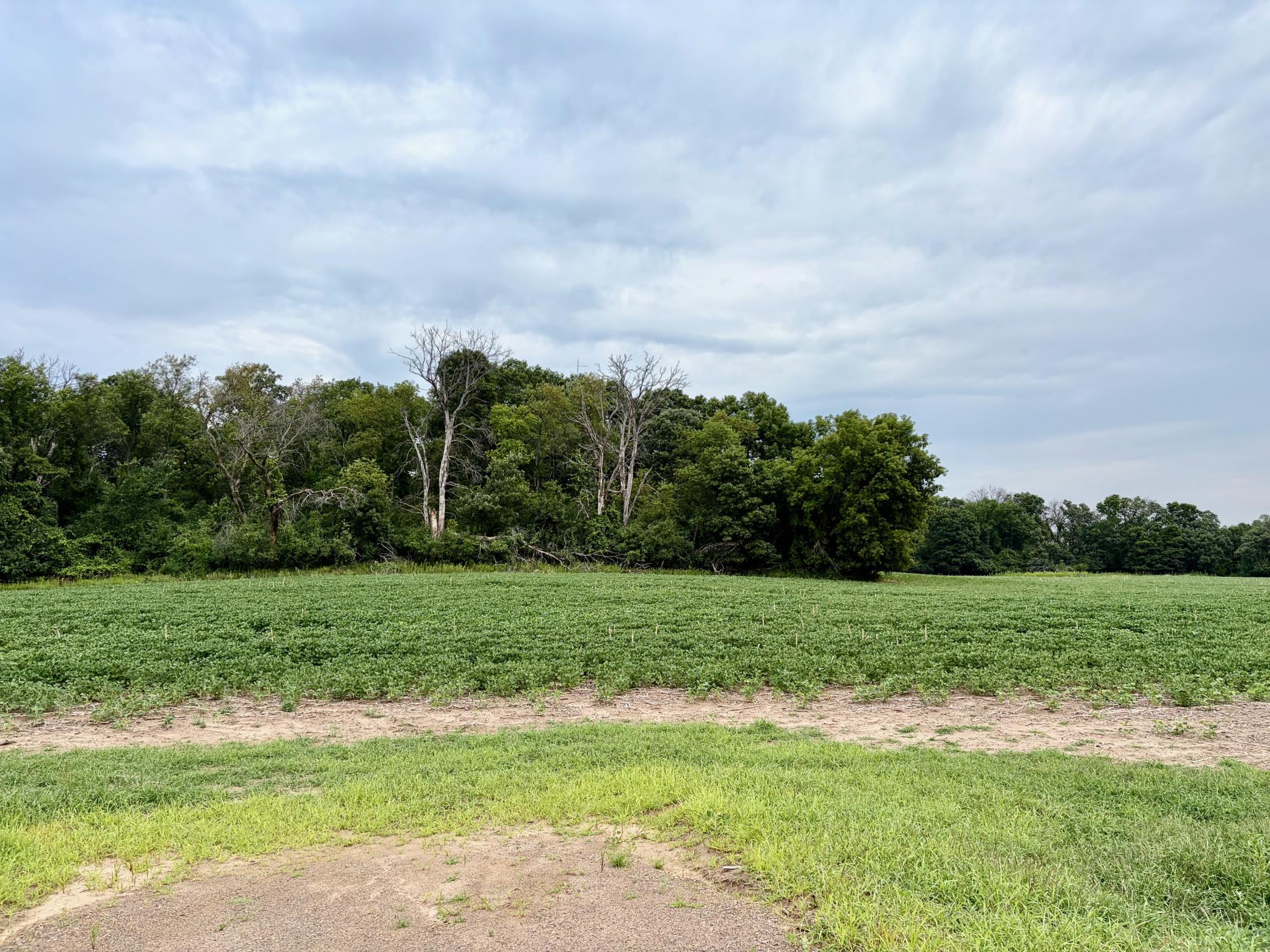 View of Land at TBD (L11B2) County Road 5, Isanti MN 55040, Isanti - Mike Wilen | Minnesota Team Real Estate