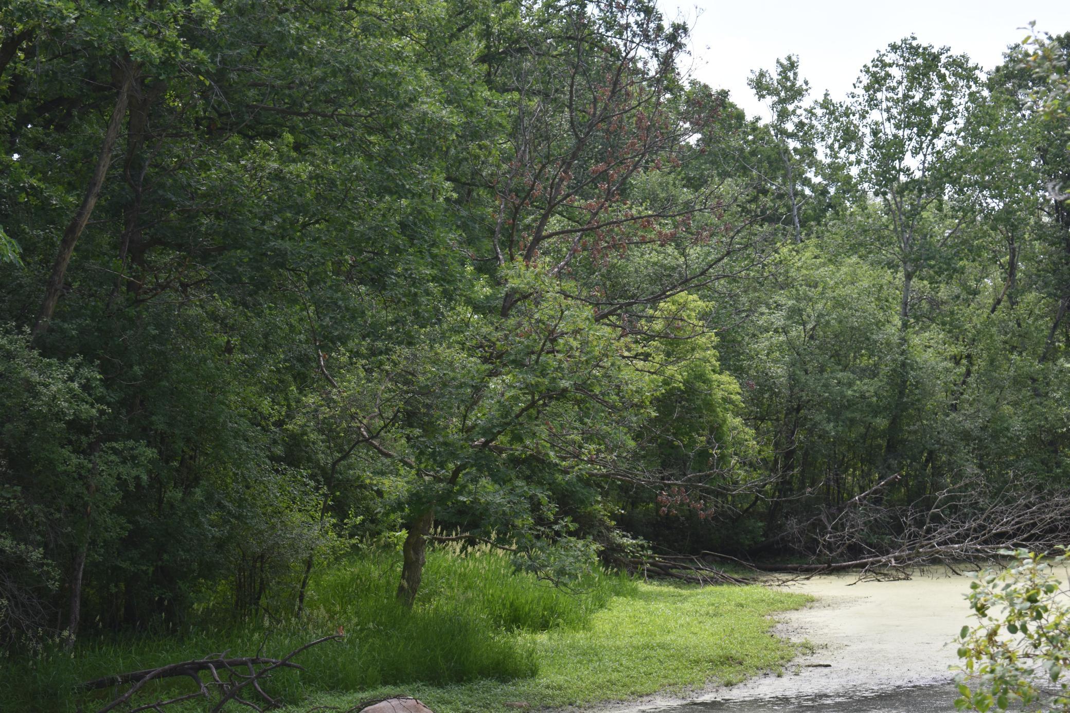 View of Land at 5500 Rowland Road, Hopkins MN 55343, Hopkins (7 of 12) - Mike Wilen | Minnesota Team Real Estate