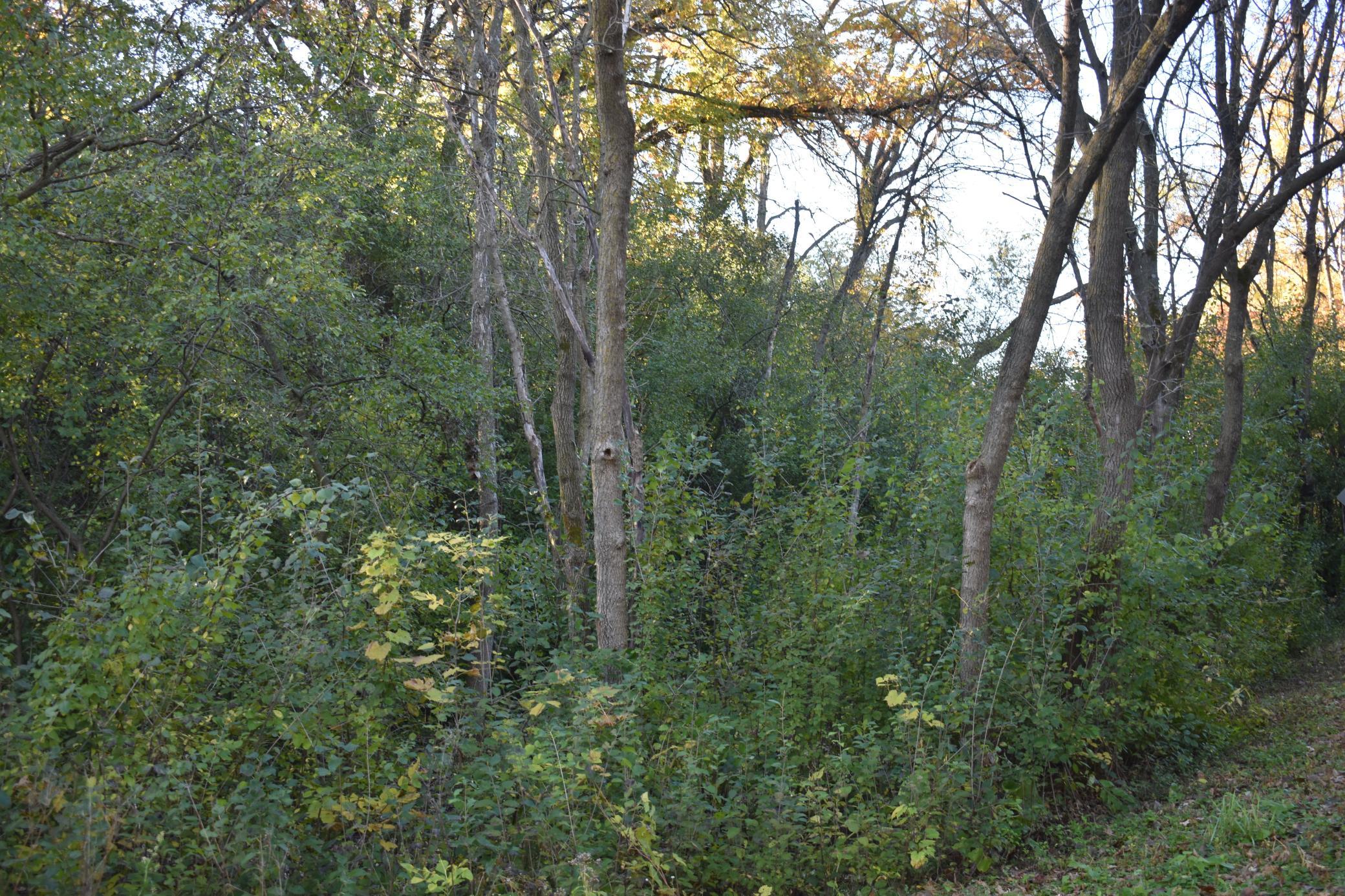 View of Land at 5500 Rowland Road, Hopkins MN 55343, Hopkins (11 of 12) - Mike Wilen | Minnesota Team Real Estate