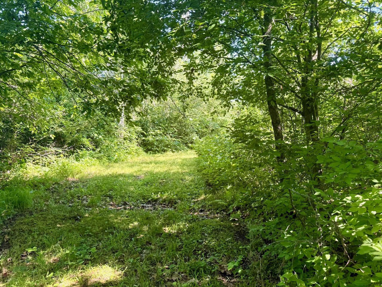 View of Residential at 38252 Cloverdale Road, Hinckley MN 55037, Hinckley (12 of 54) - Mike Wilen | Minnesota Team Real Estate