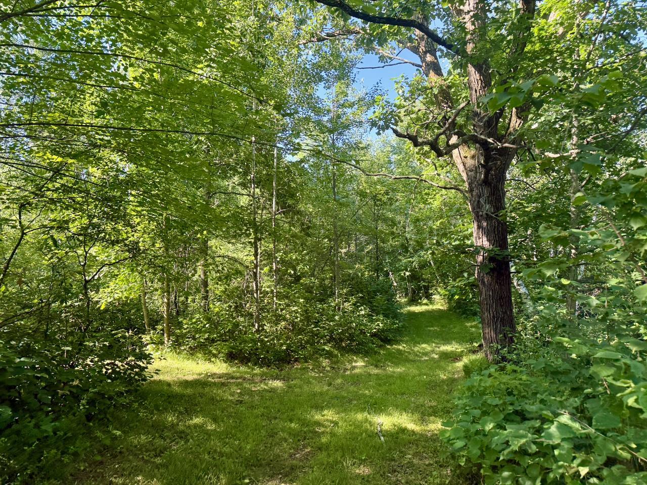 View of Residential at 38252 Cloverdale Road, Hinckley MN 55037, Hinckley (11 of 54) - Mike Wilen | Minnesota Team Real Estate
