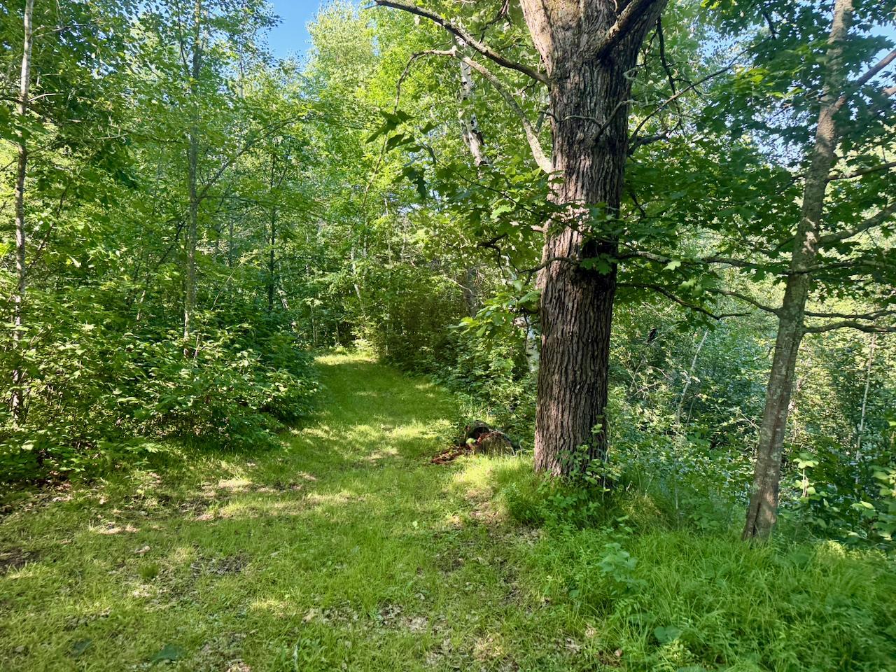 View of Residential at 38252 Cloverdale Road, Hinckley MN 55037, Hinckley (10 of 54) - Mike Wilen | Minnesota Team Real Estate