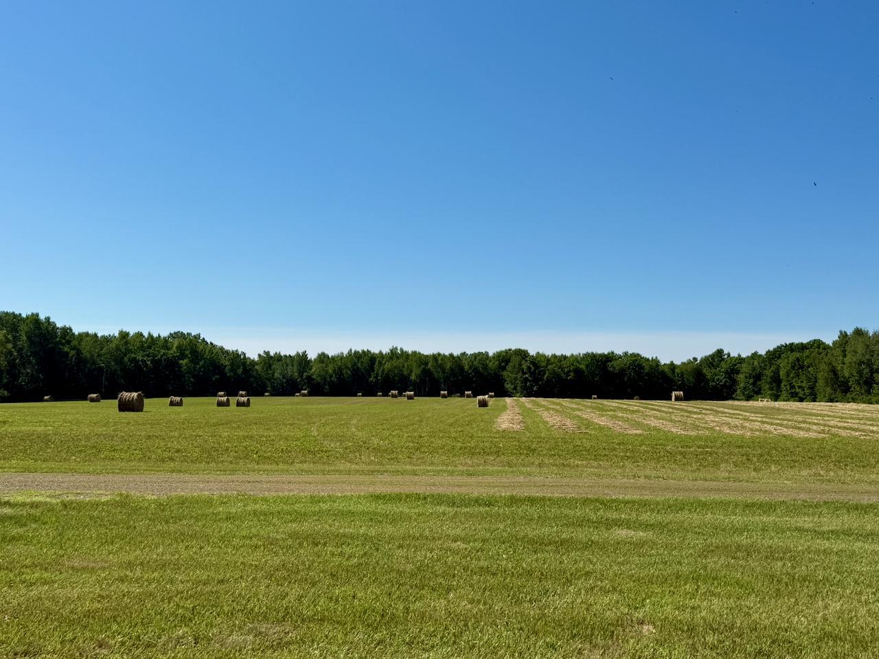 View of Residential at 38252 Cloverdale Road, Hinckley MN 55037, Hinckley (7 of 54) - Mike Wilen | Minnesota Team Real Estate
