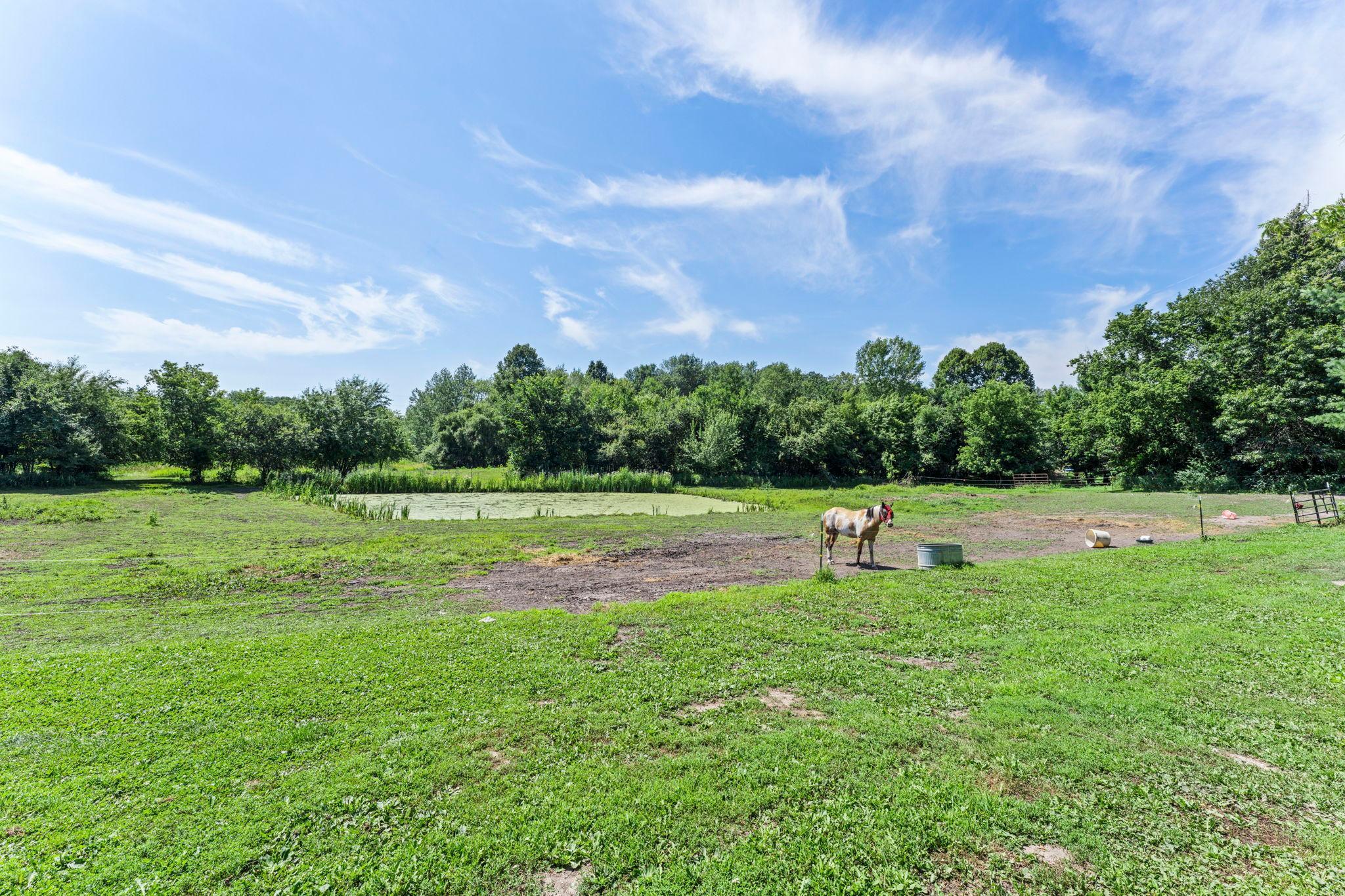 View of Residential at 42550 Cedarcrest Trail, Harris MN 55032, Harris (51 of 65) - Mike Wilen | Minnesota Team Real Estate