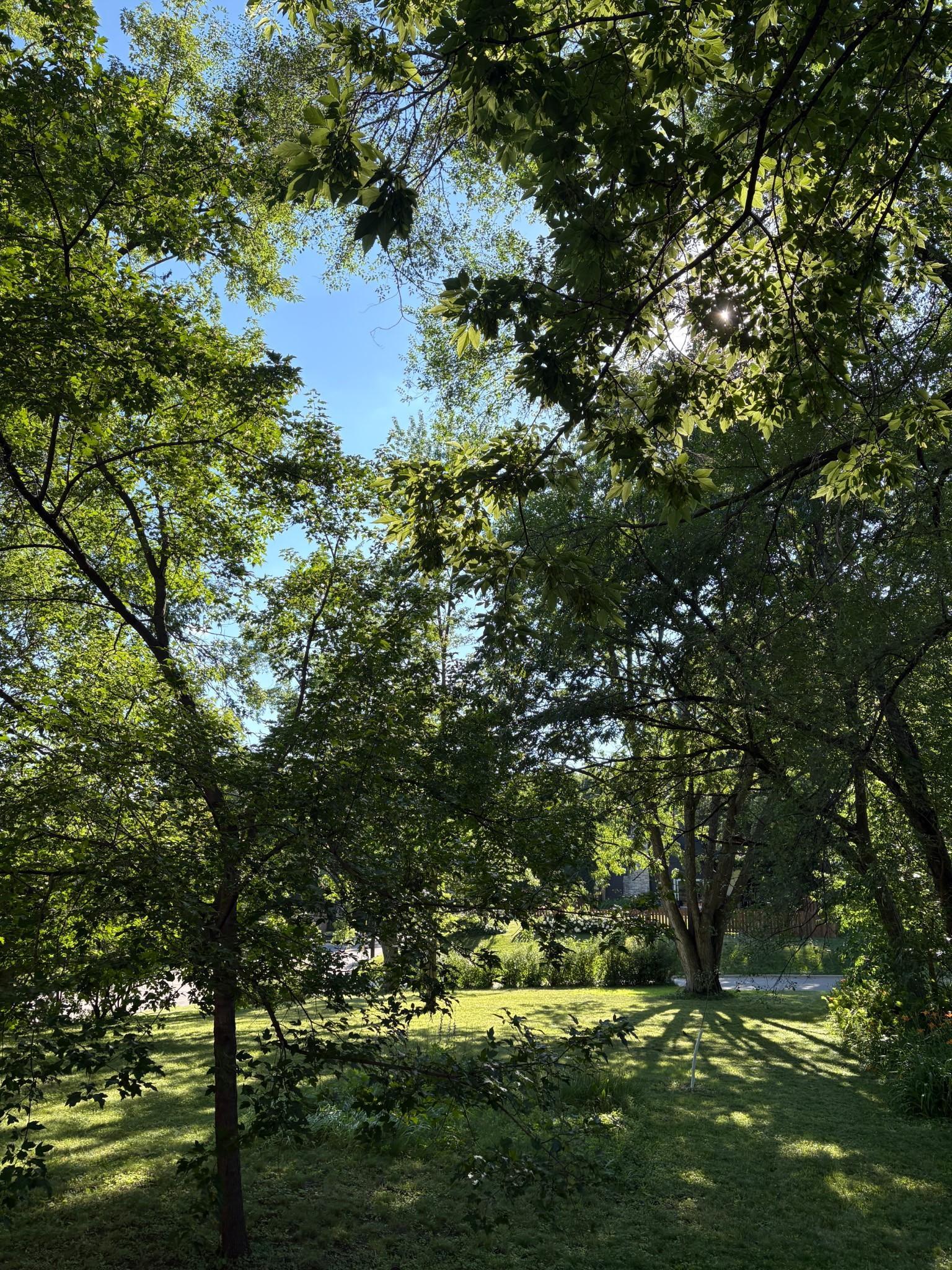 View of Land at 5216 Benton Avenue, Edina MN 55436, Edina (6 of 15) - Mike Wilen | Minnesota Team Real Estate