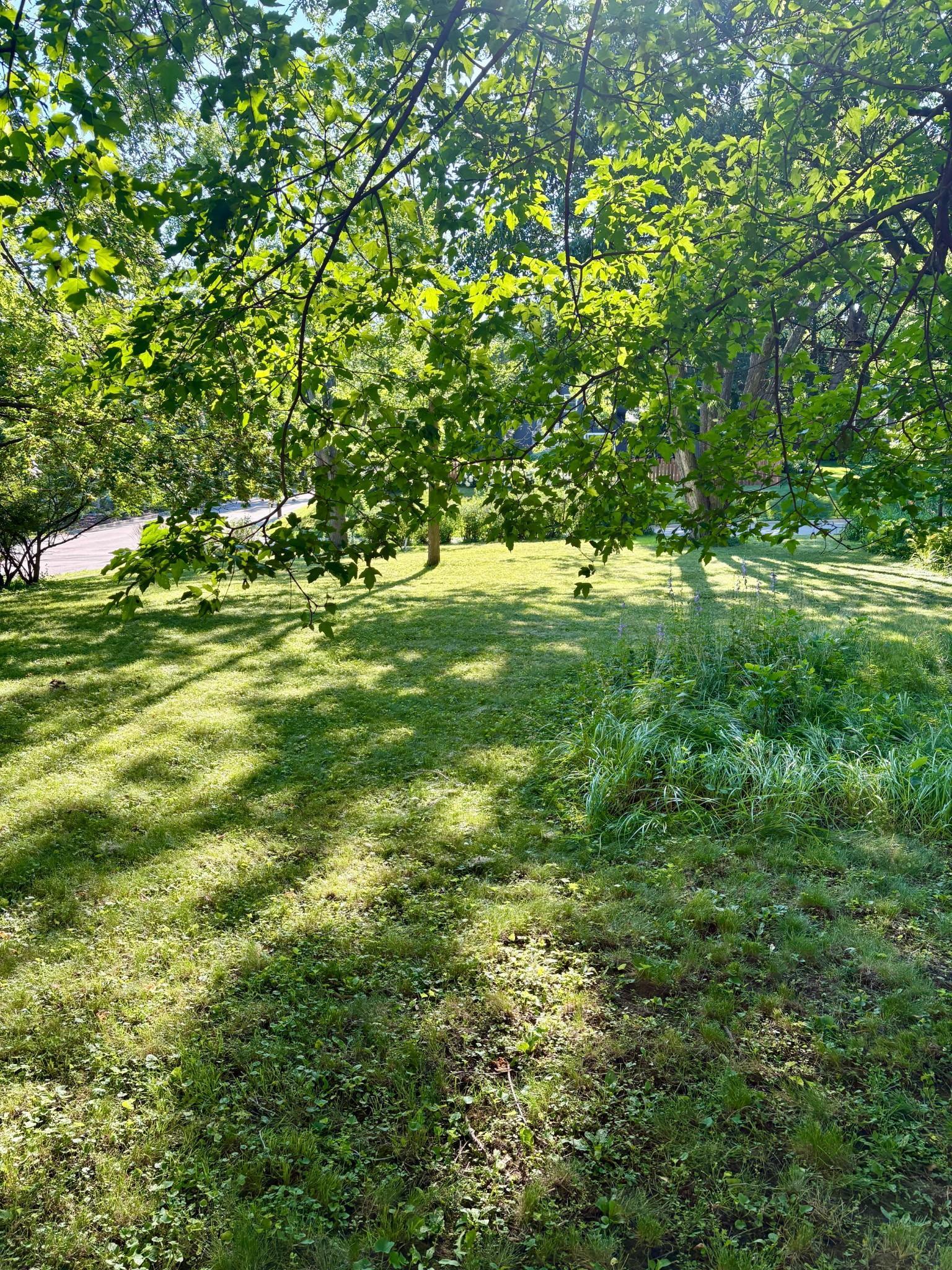 View of Land at 5216 Benton Avenue, Edina MN 55436, Edina (3 of 15) - Mike Wilen | Minnesota Team Real Estate