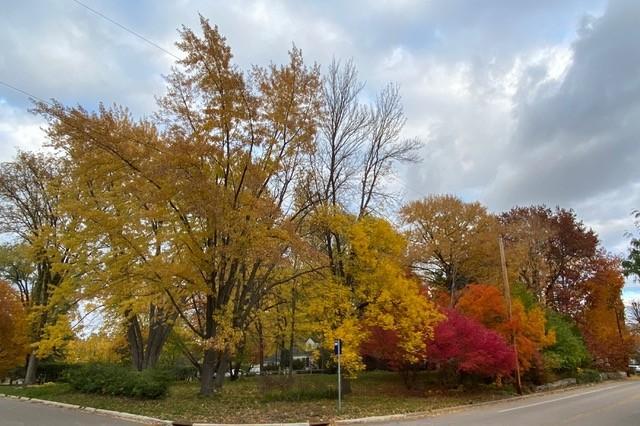 View of Land at 5216 Benton Avenue, Edina MN 55436, Edina (11 of 15) - Mike Wilen | Minnesota Team Real Estate