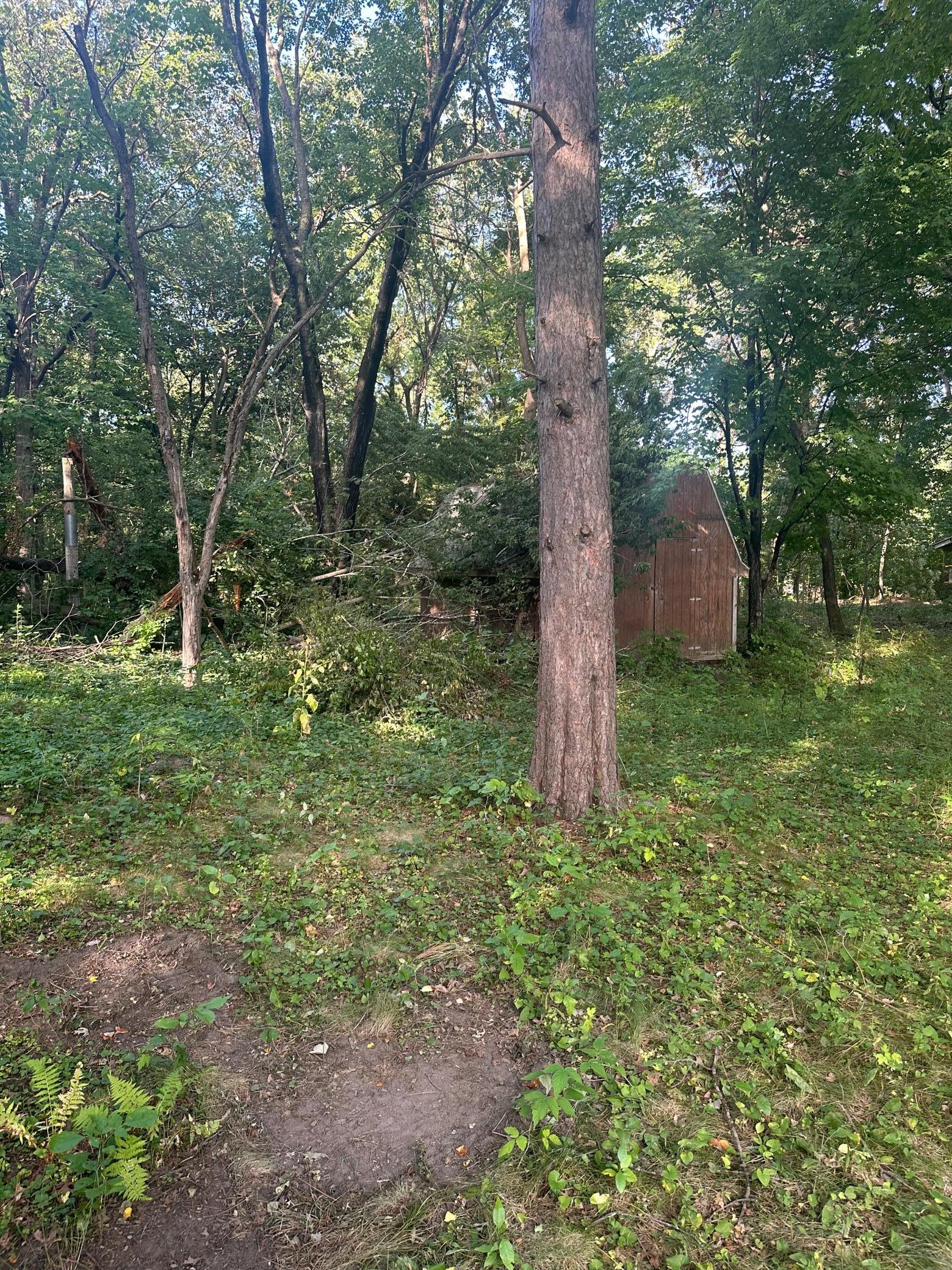View of Land at 14698 190th Avenue, Elk River MN 55330, Elk River (6 of 7) - Mike Wilen | Minnesota Team Real Estate