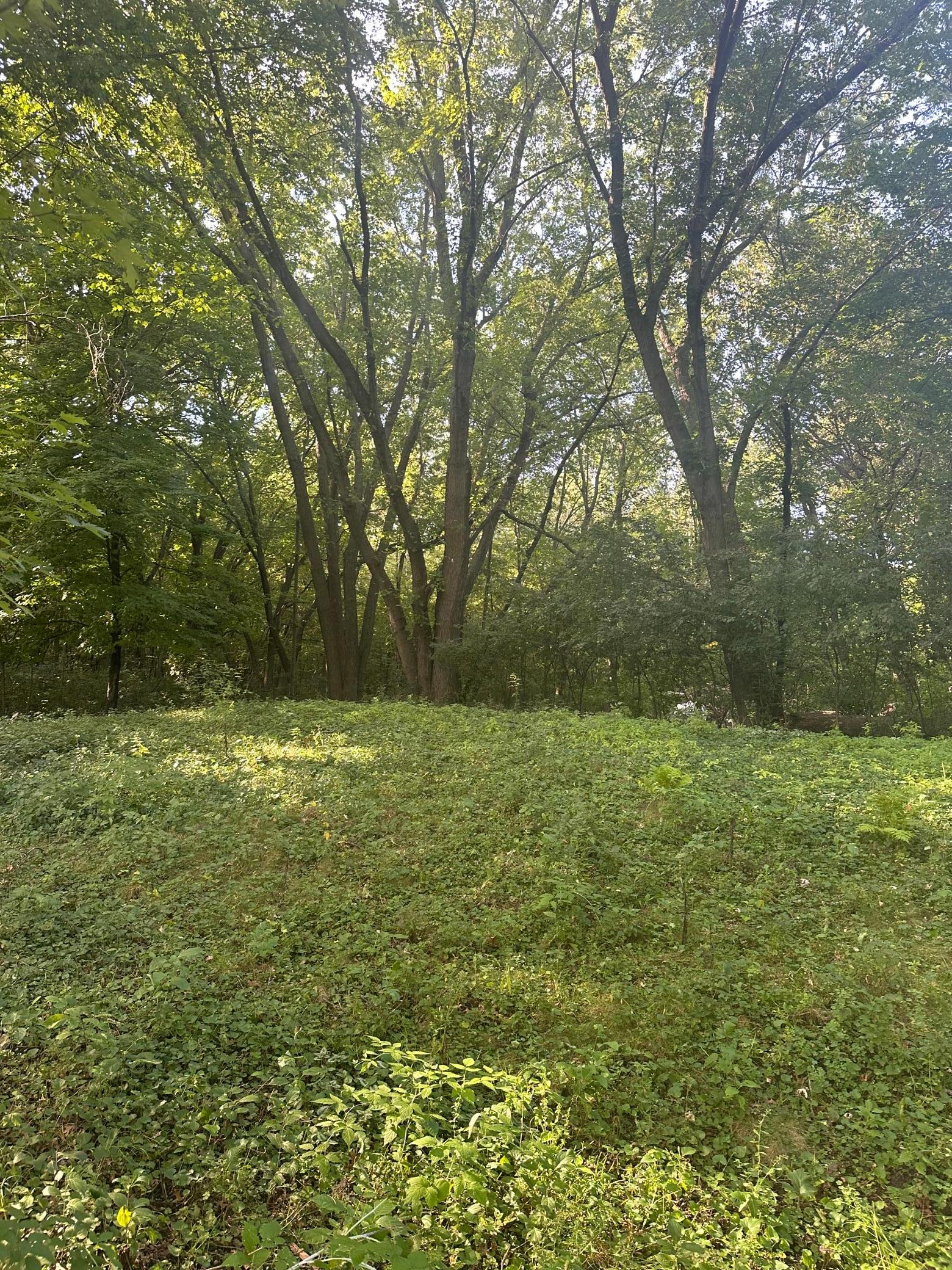 View of Land at 14698 190th Avenue, Elk River MN 55330, Elk River (5 of 7) - Mike Wilen | Minnesota Team Real Estate