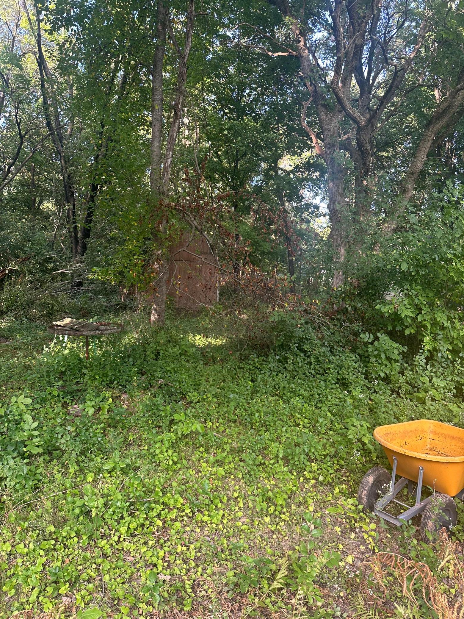 View of Land at 14698 190th Avenue, Elk River MN 55330, Elk River (4 of 7) - Mike Wilen | Minnesota Team Real Estate
