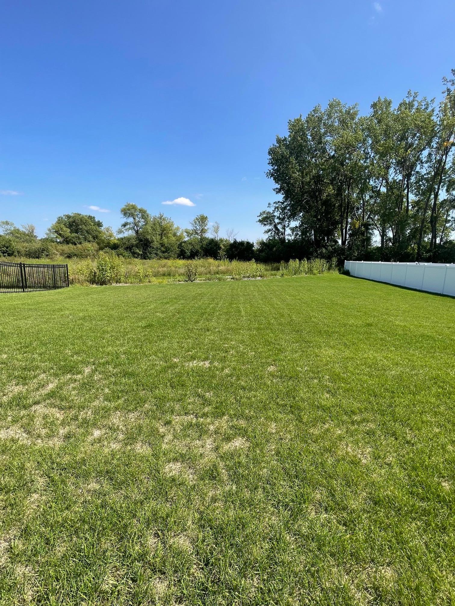 View of Residential at 1732 Spruce Street, Farmington MN 55024, Farmington (28 of 29) - Mike Wilen | Minnesota Team Real Estate