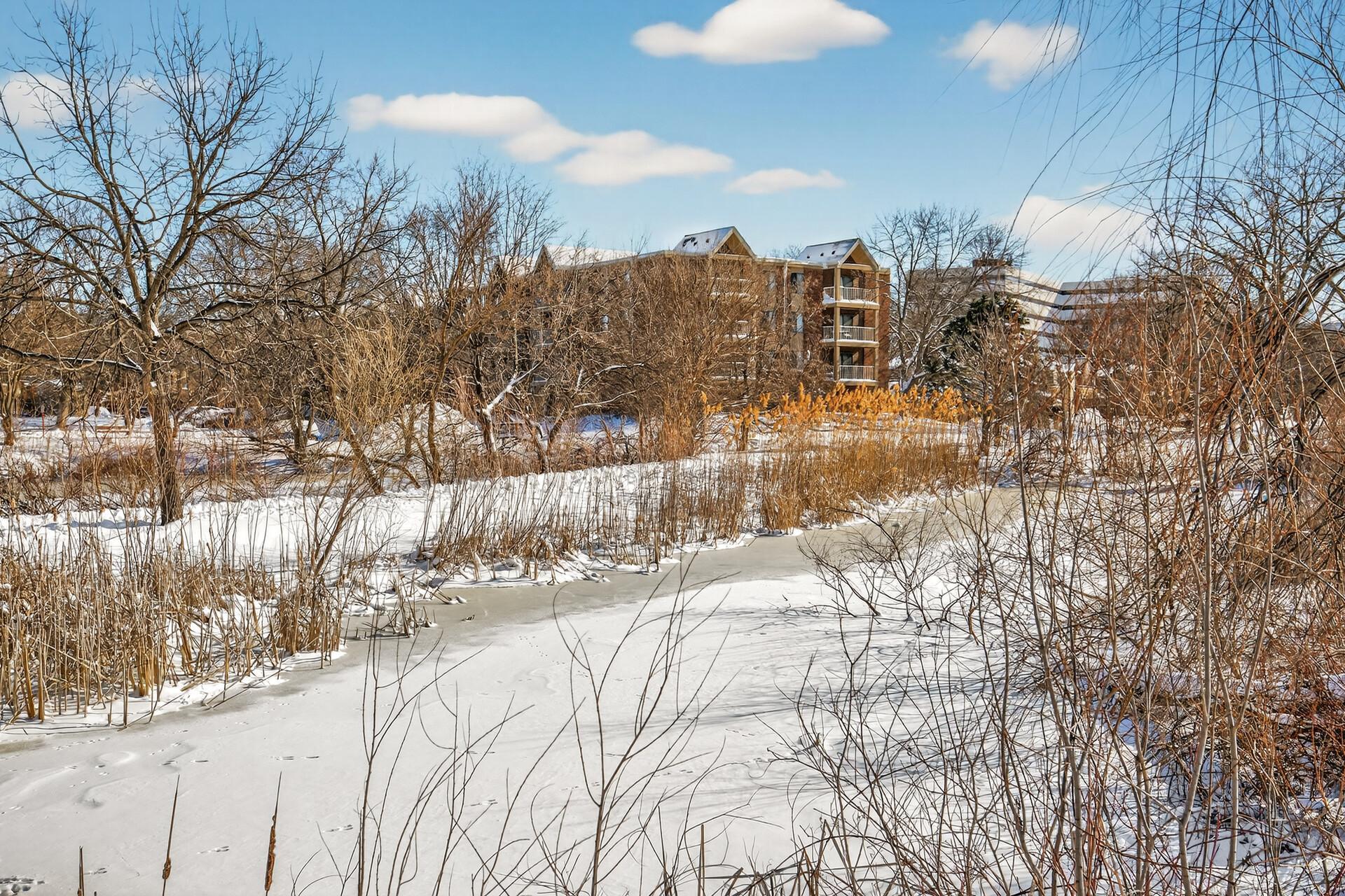 View of Residential at 450 Ford Road #313, Saint Louis Park MN 55426, Saint Louis Park (29 of 30) - Mike Wilen | Minnesota Team Real Estate