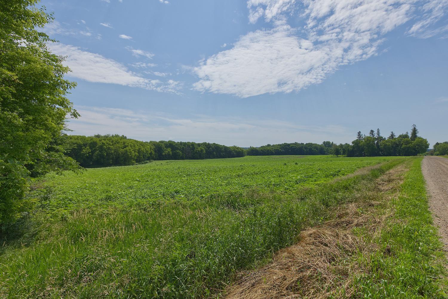 View of Land at TBD Ingram Avenue, Howard Lake MN 55349, Howard Lake (5 of 16) - Mike Wilen | Minnesota Team Real Estate