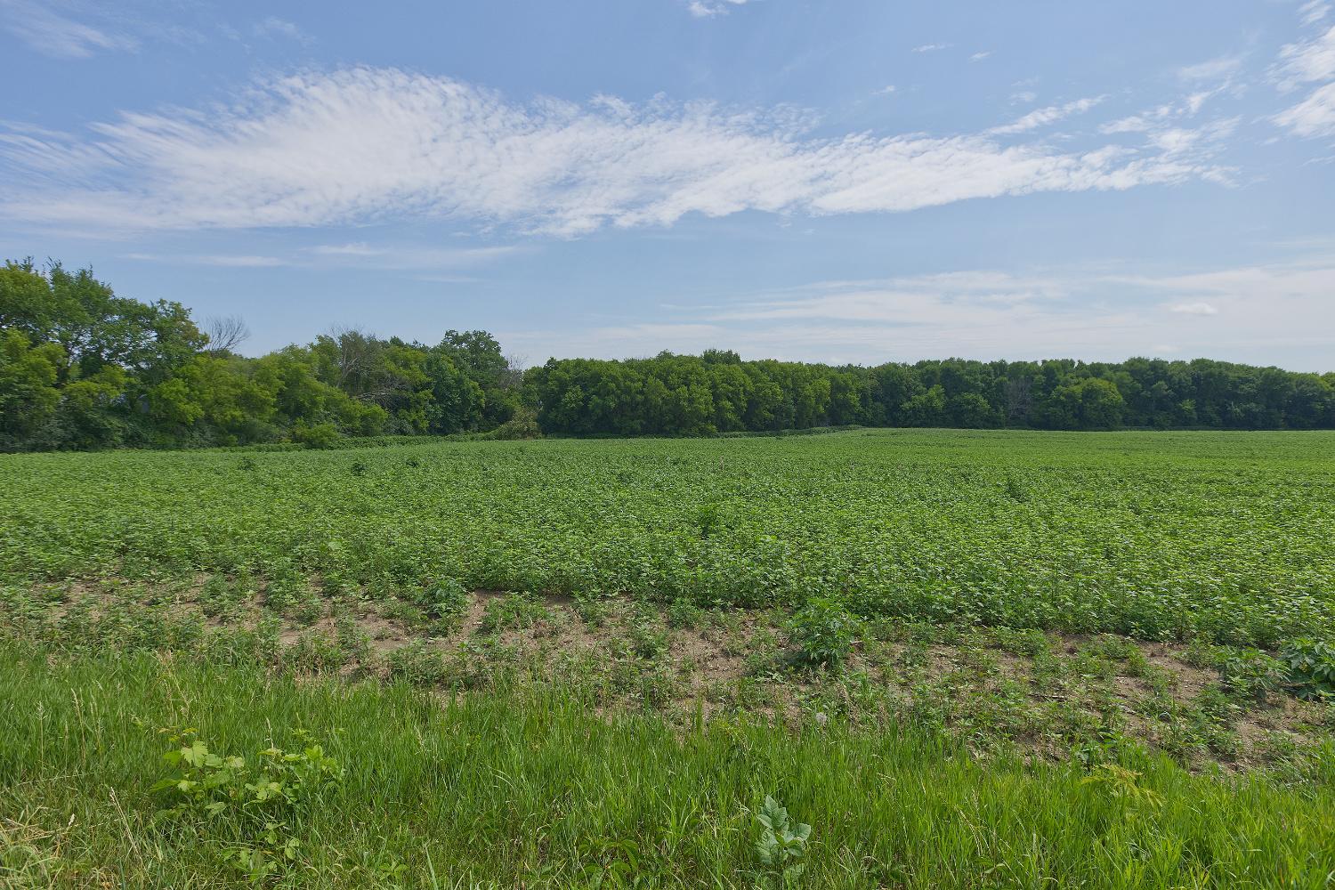 View of Land at TBD Ingram Avenue, Howard Lake MN 55349, Howard Lake (4 of 16) - Mike Wilen | Minnesota Team Real Estate