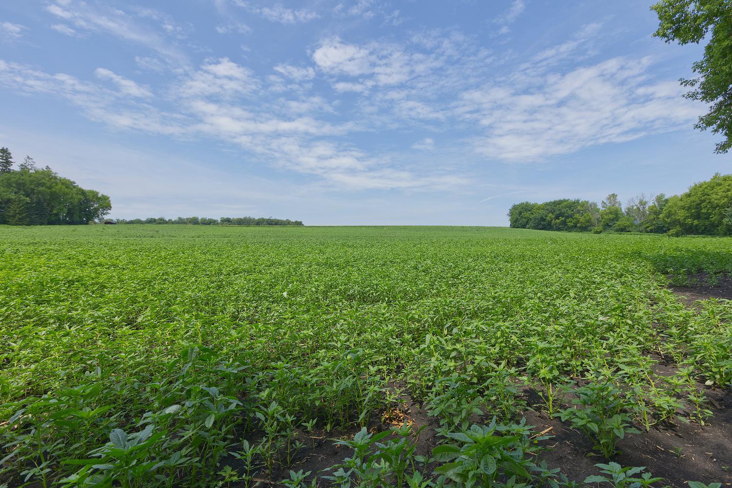 View of Land at TBD2 Ingram Avenue, Howard Lake MN 55349, Howard Lake (7 of 15) - Mike Wilen | Minnesota Team Real Estate
