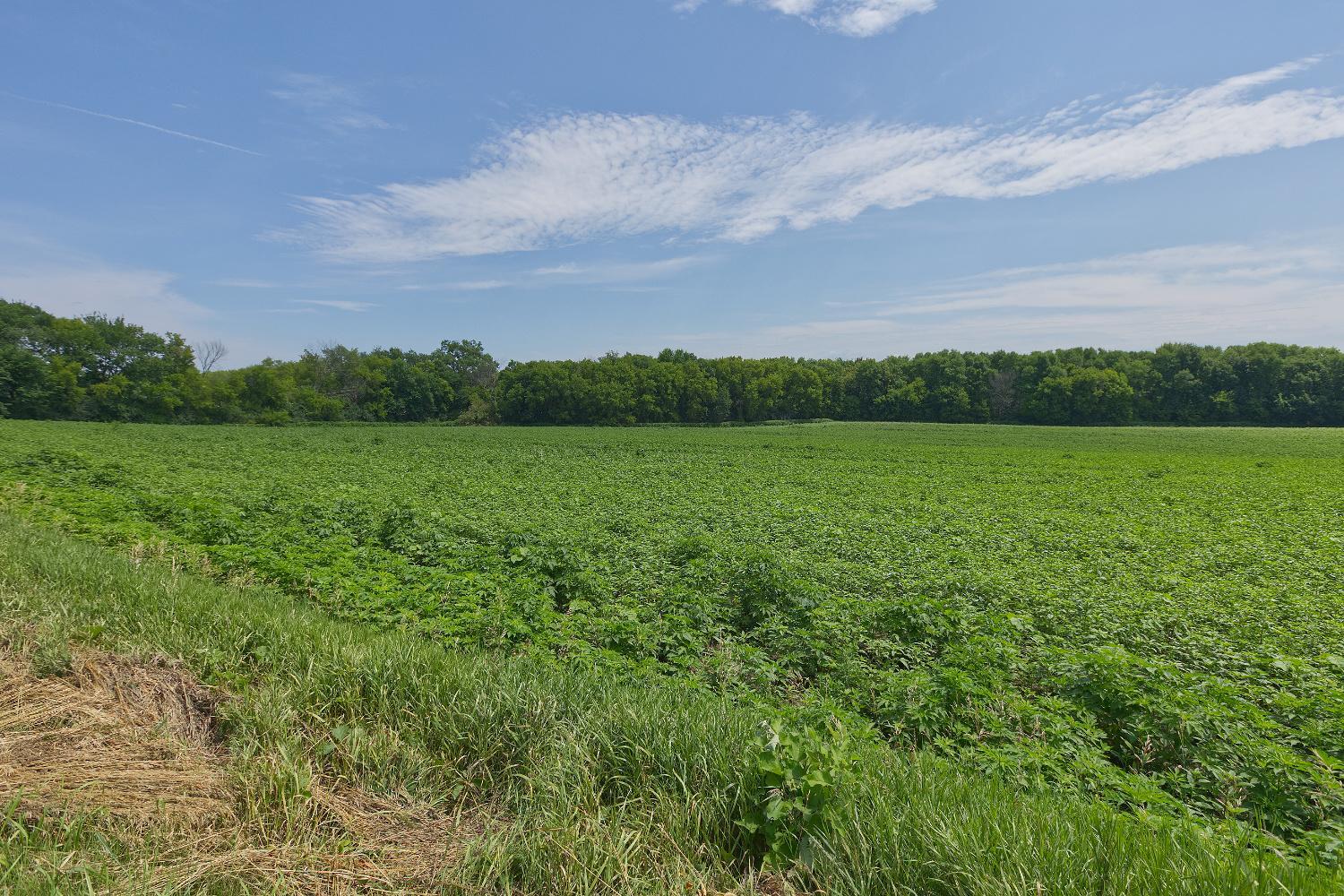View of Land at TBD2 Ingram Avenue, Howard Lake MN 55349, Howard Lake (4 of 15) - Mike Wilen | Minnesota Team Real Estate