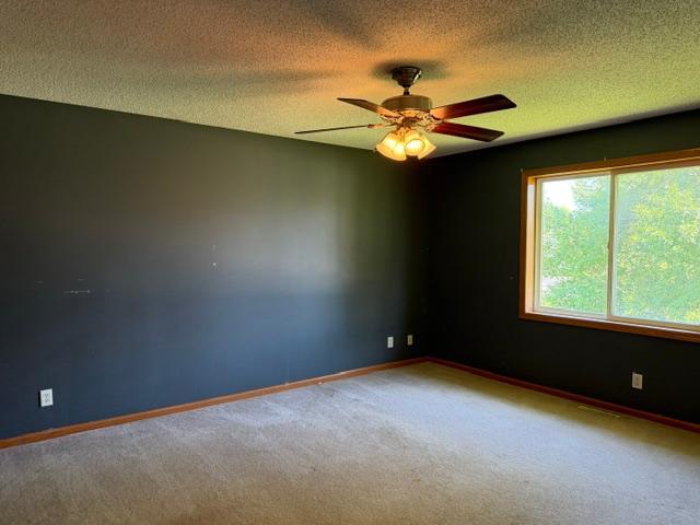 View of Residential at 1516 Dublin Court, Shakopee MN 55379, Shakopee (4 of 19) - Mike Wilen | Minnesota Team Real Estate