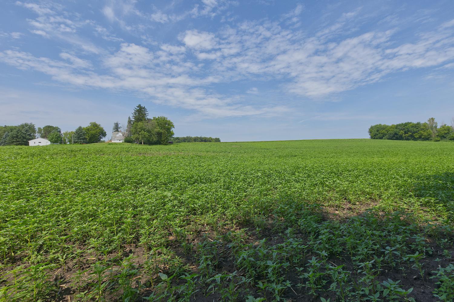 View of Land at TBD3 Ingram Avenue, Howard Lake MN 55349, Howard Lake (8 of 16) - Mike Wilen | Minnesota Team Real Estate