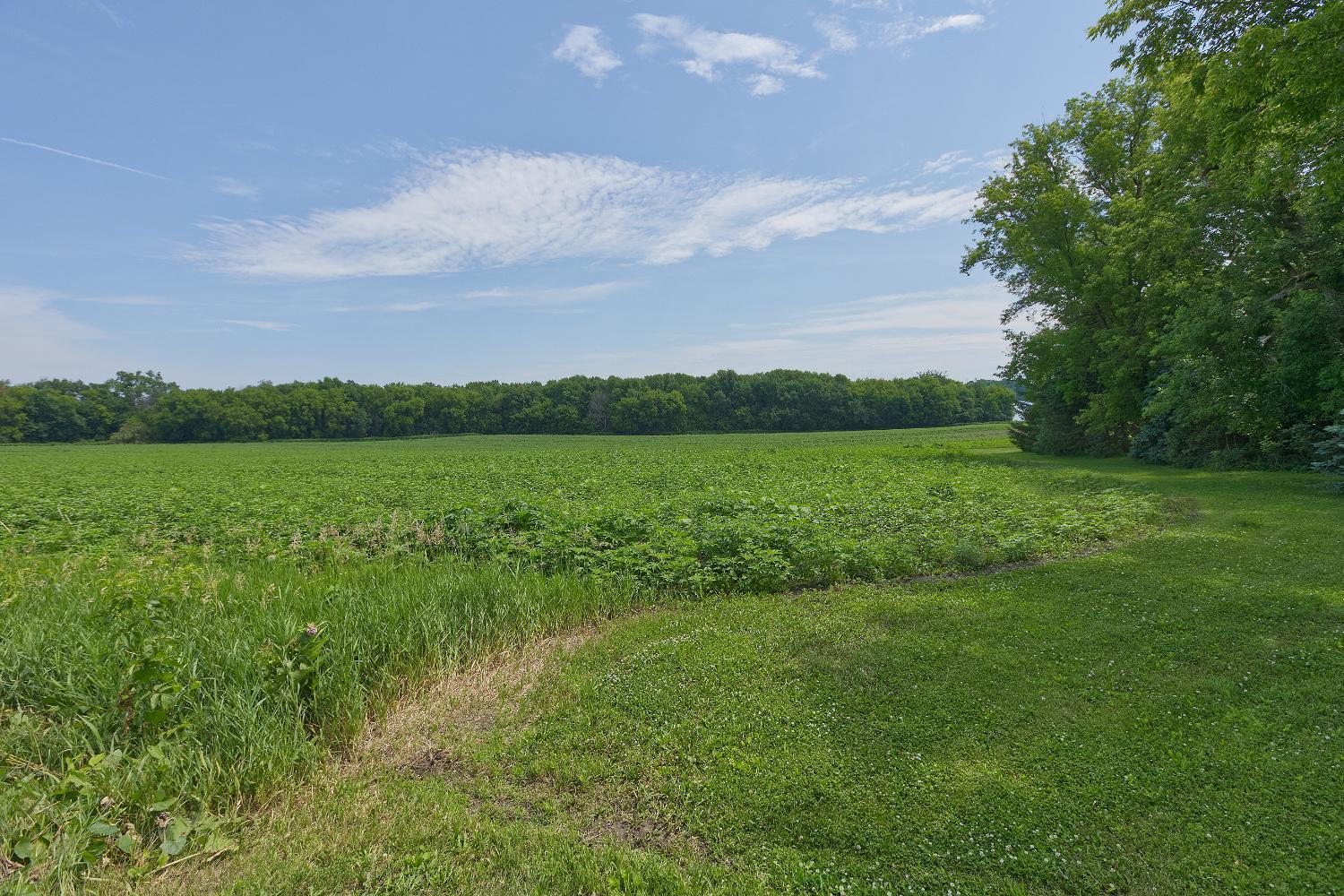 View of Land at TBD3 Ingram Avenue, Howard Lake MN 55349, Howard Lake (6 of 16) - Mike Wilen | Minnesota Team Real Estate
