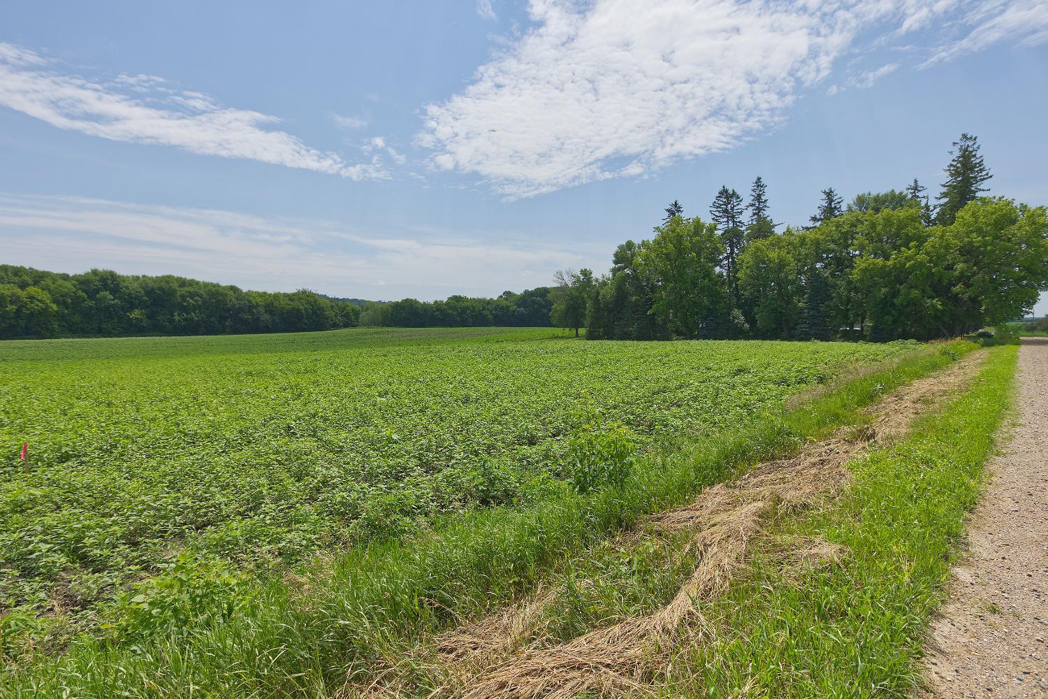 View of Land at TBD3 Ingram Avenue, Howard Lake MN 55349, Howard Lake (4 of 16) - Mike Wilen | Minnesota Team Real Estate