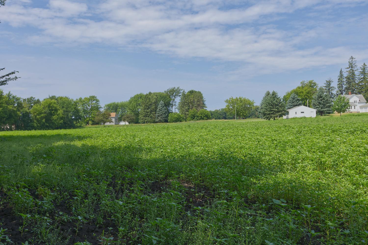 View of Land at TBD5 Ingram Avenue, Howard Lake MN 55349, Howard Lake (7 of 13) - Mike Wilen | Minnesota Team Real Estate