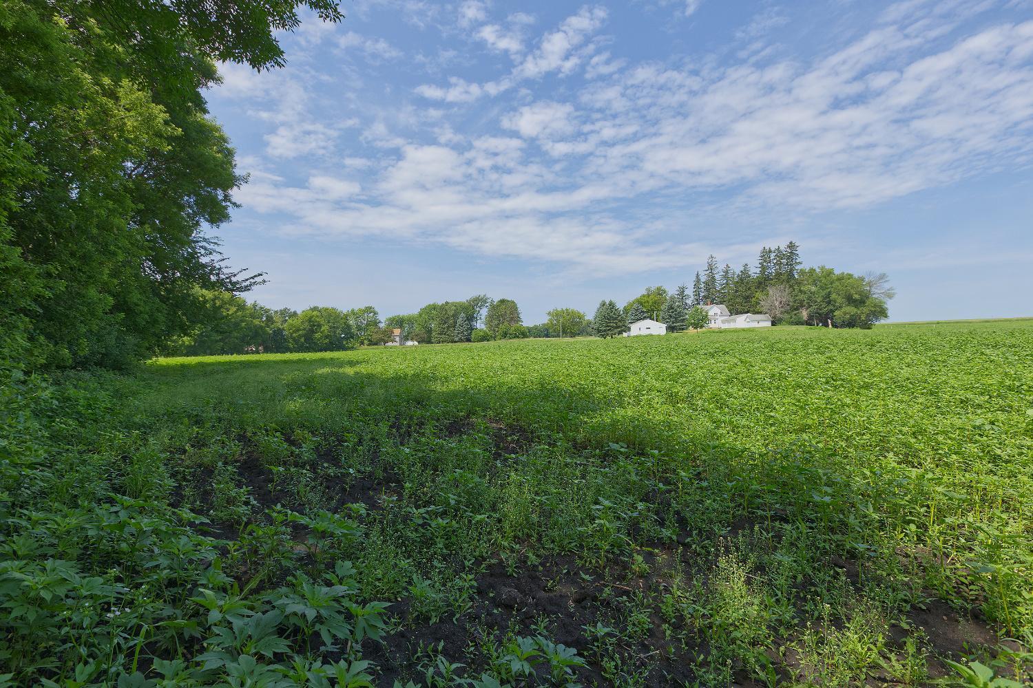 View of Land at TBD5 Ingram Avenue, Howard Lake MN 55349, Howard Lake (6 of 13) - Mike Wilen | Minnesota Team Real Estate