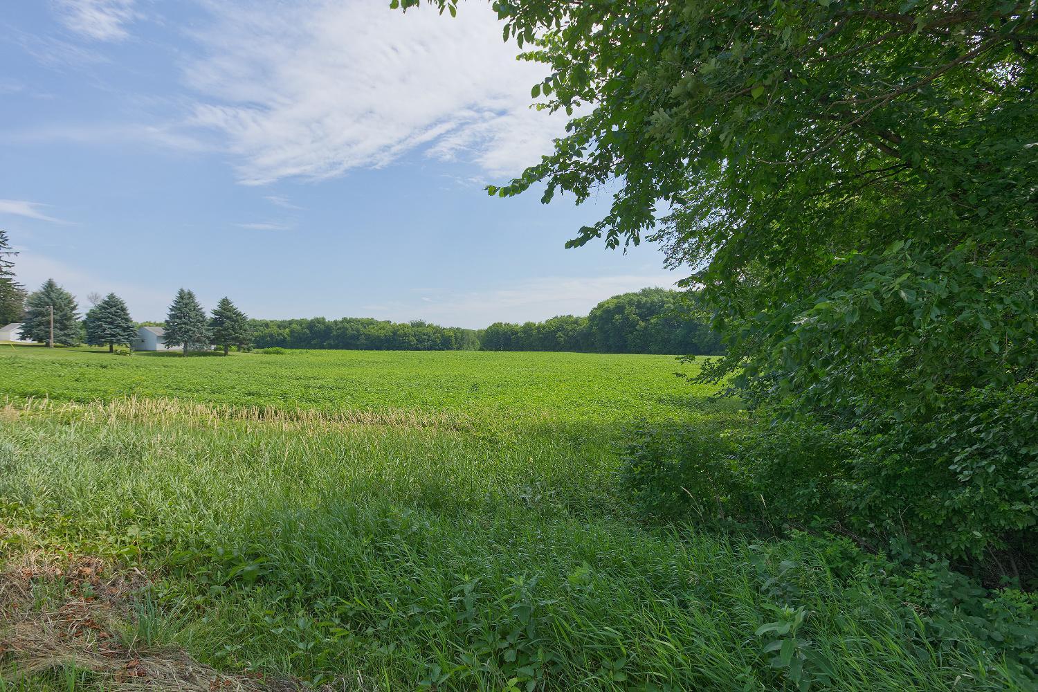 View of Land at TBD5 Ingram Avenue, Howard Lake MN 55349, Howard Lake (4 of 13) - Mike Wilen | Minnesota Team Real Estate