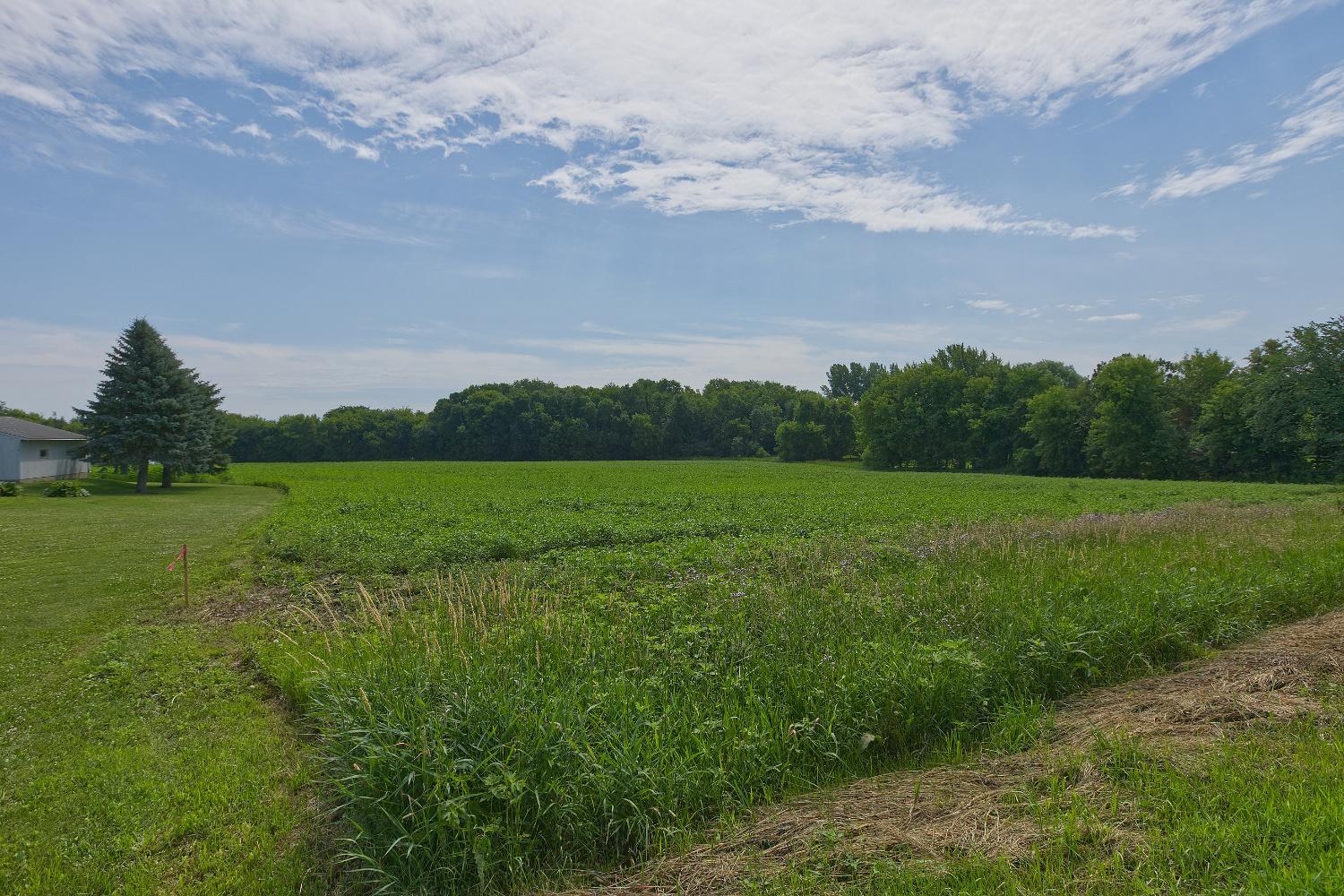 View of Land at TBD5 Ingram Avenue, Howard Lake MN 55349, Howard Lake (3 of 13) - Mike Wilen | Minnesota Team Real Estate