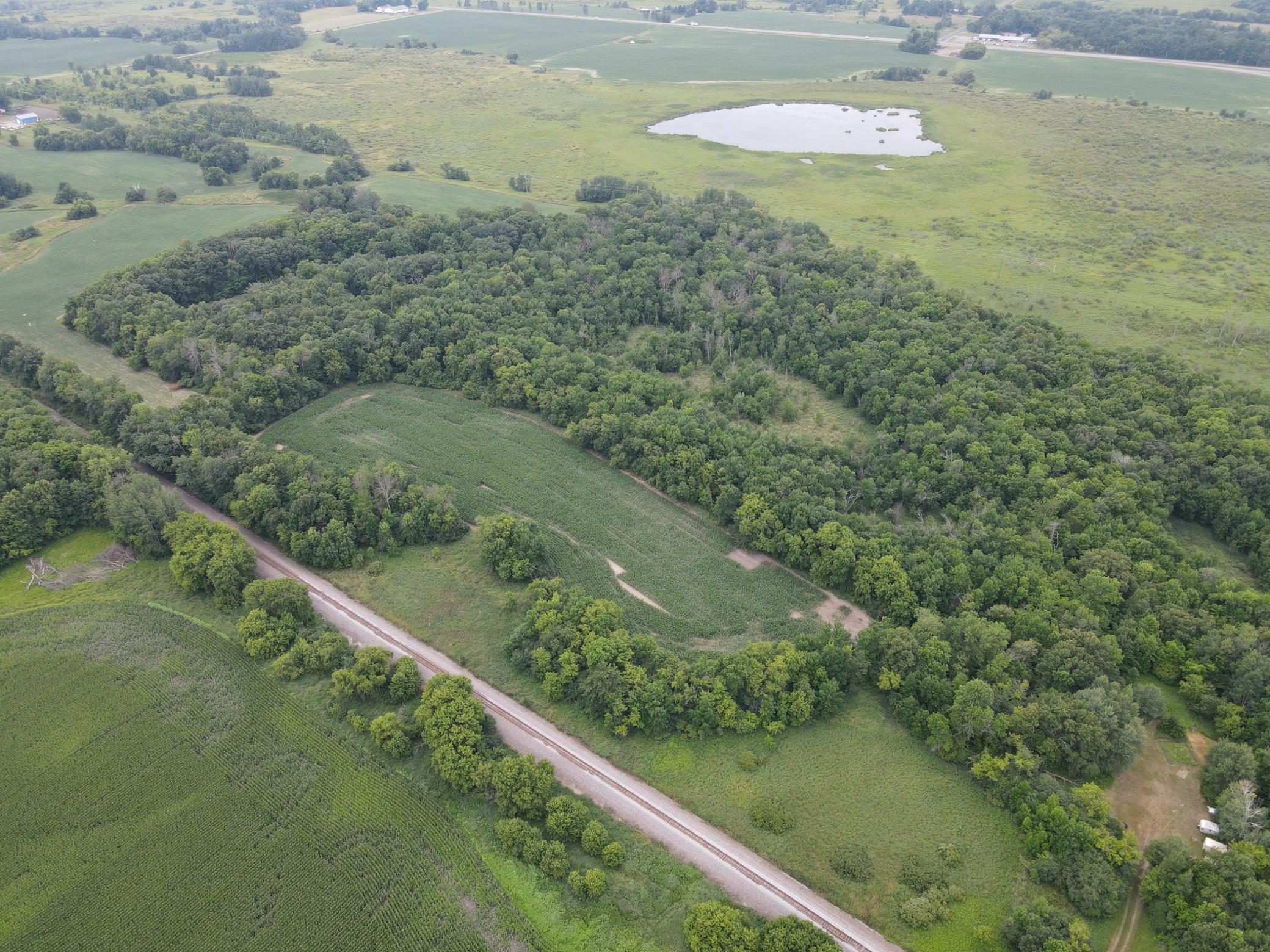View of Land at 40xxx Vickers Street, Stanchfield Twp MN 55080, Stanchfield Twp (14 of 16) - Mike Wilen | Minnesota Team Real Estate
