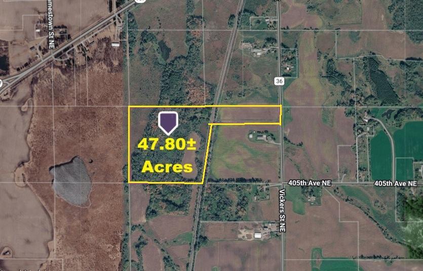 View of Land at 40xxx Vickers Street, Stanchfield Twp MN 55080, Stanchfield Twp (2 of 16) - Mike Wilen | Minnesota Team Real Estate