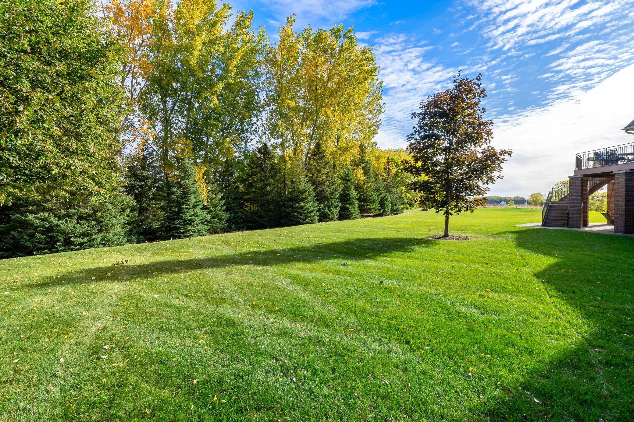 View of Residential at 130 Bergamot Drive, Medina MN 55340, Medina (13 of 81) - Mike Wilen | Minnesota Team Real Estate