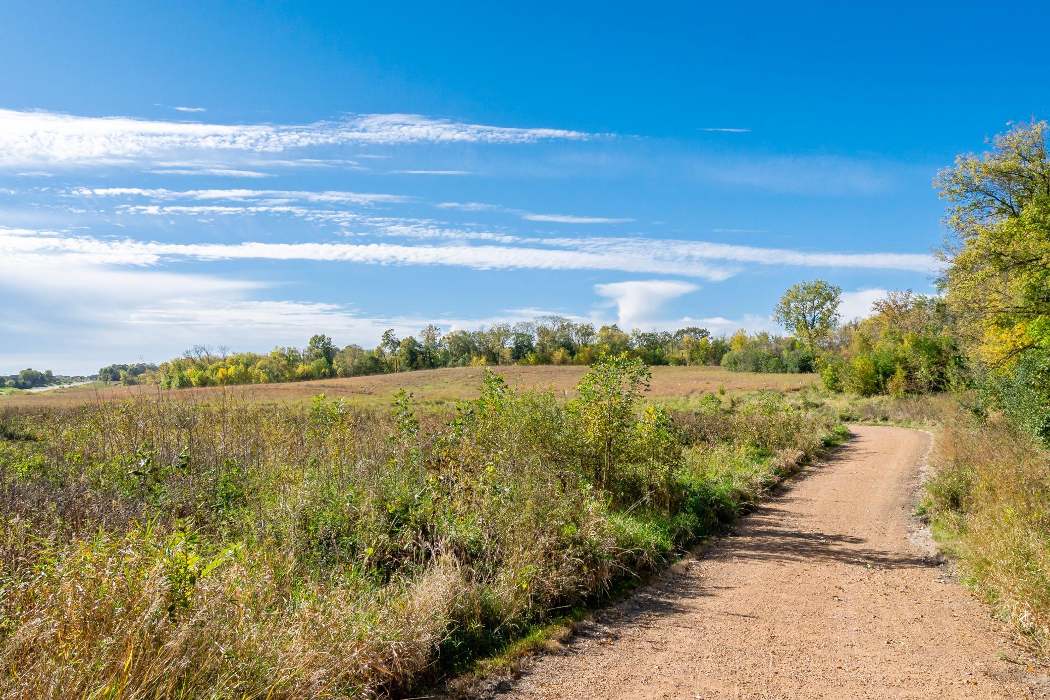 View of Residential at 130 Bergamot Drive, Medina MN 55340, Medina (80 of 81) - Mike Wilen | Minnesota Team Real Estate