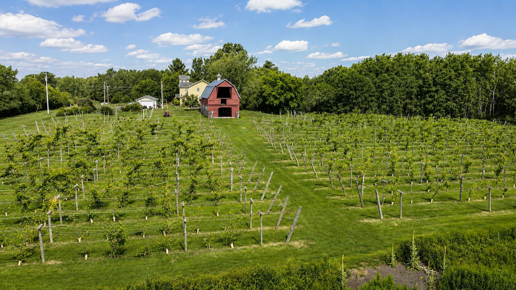 View of Residential at 19334 105th Avenue, Milaca MN 56353, Milaca (24 of 30) - Mike Wilen | Minnesota Team Real Estate