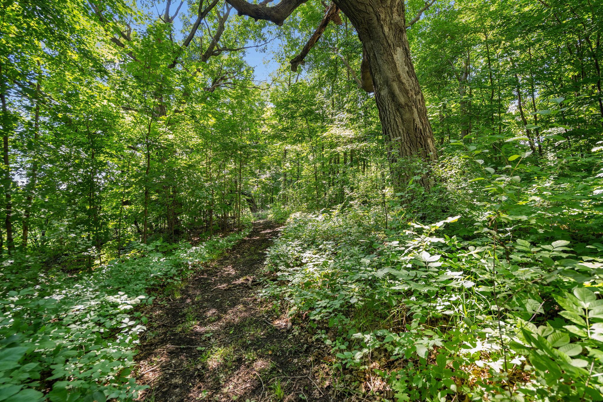 View of Residential at 8315 Greenfield Road, Loretto MN 55357, Loretto (41 of 57) - Mike Wilen | Minnesota Team Real Estate